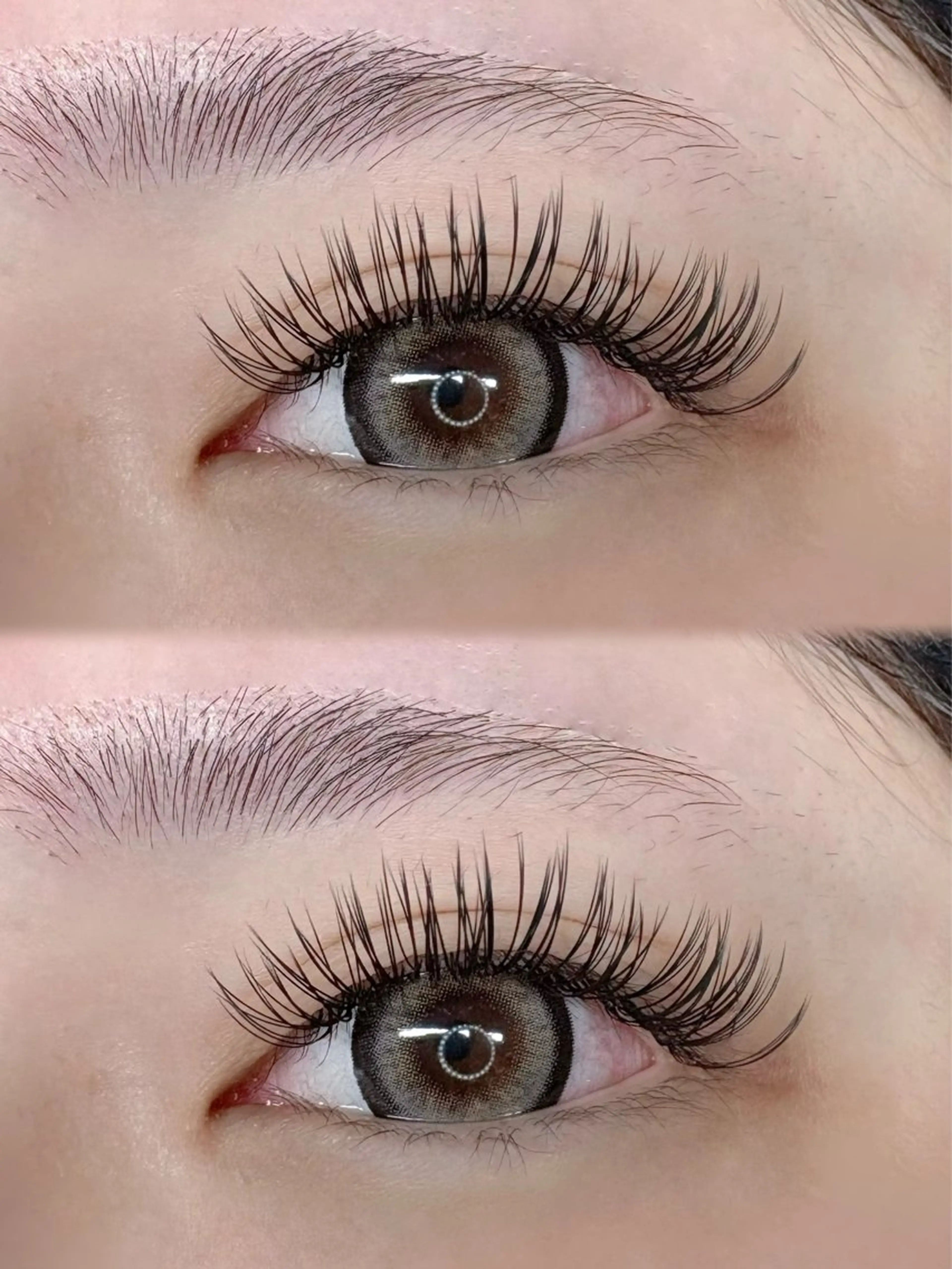 30～3日日 限定💙バインドロック 100束💙の写真