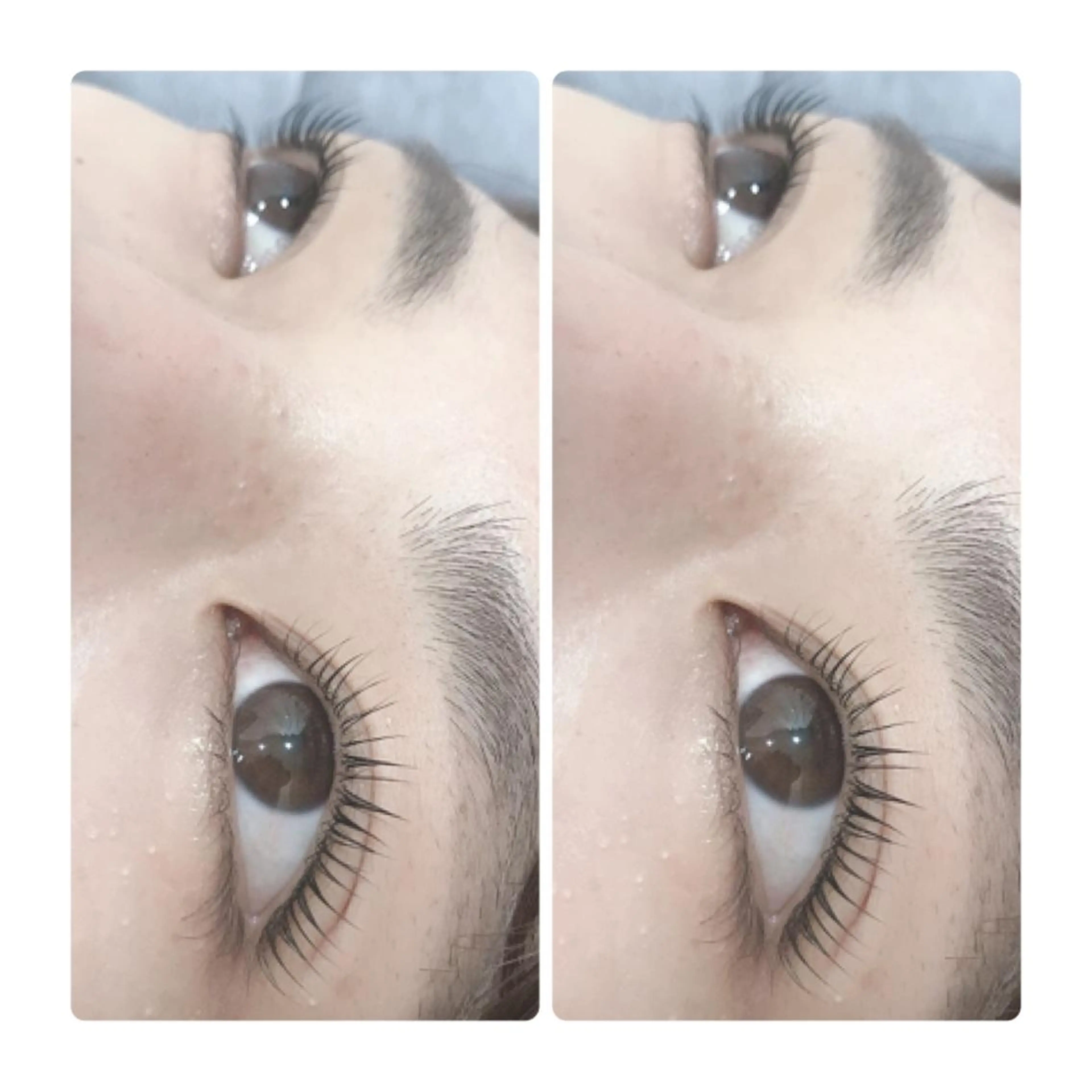 マツエク・マツパ ELLA 菊地のマツエク・マツパデザイン