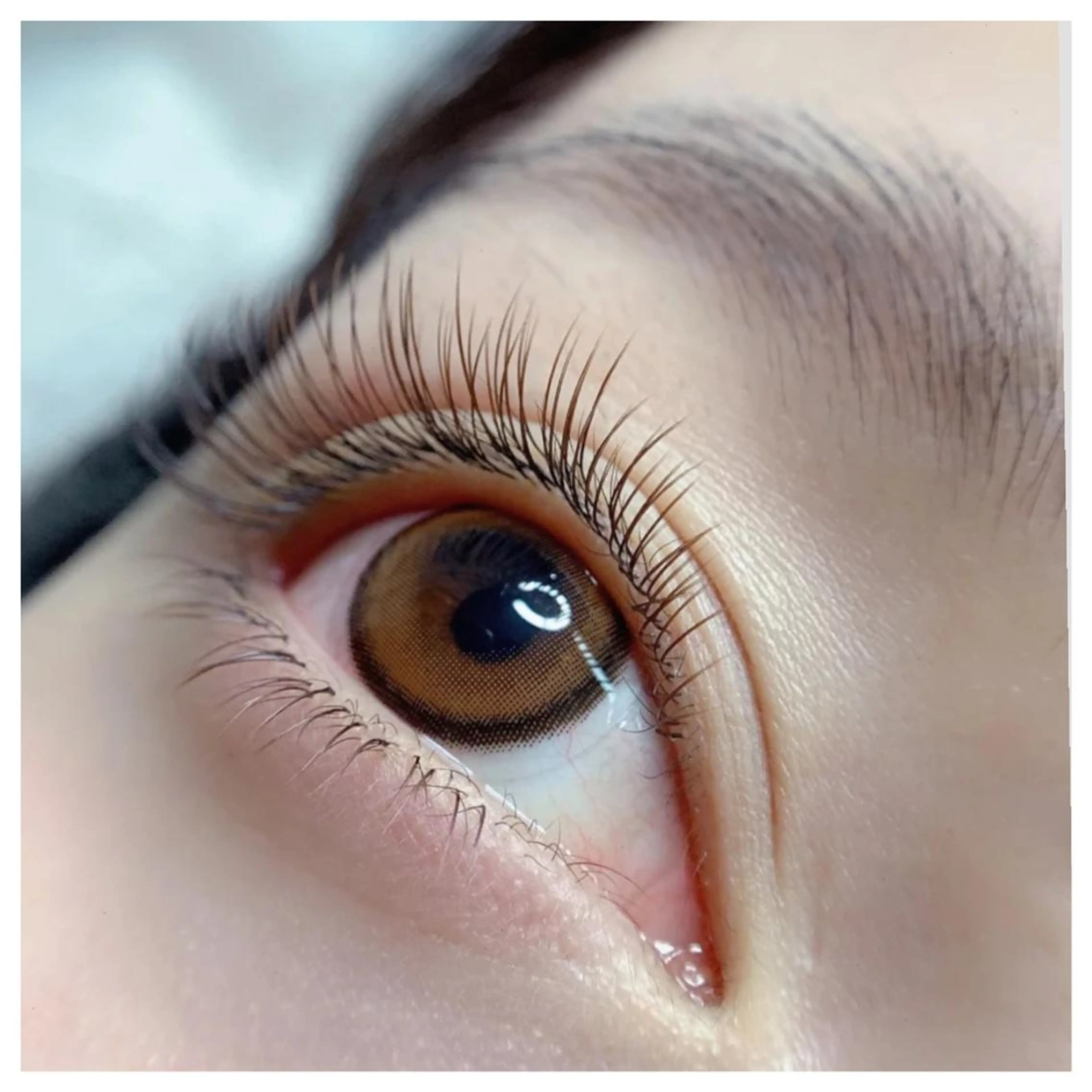 カラー パーマ ヘアアレンジ キッズ ネイル マツエク・マツパ ブラウンカラー カラーマツエク フラットラッシュ 下まつげエクステ ブラウン 神山 ビューティー・アイのマツエク・マツパデザイン