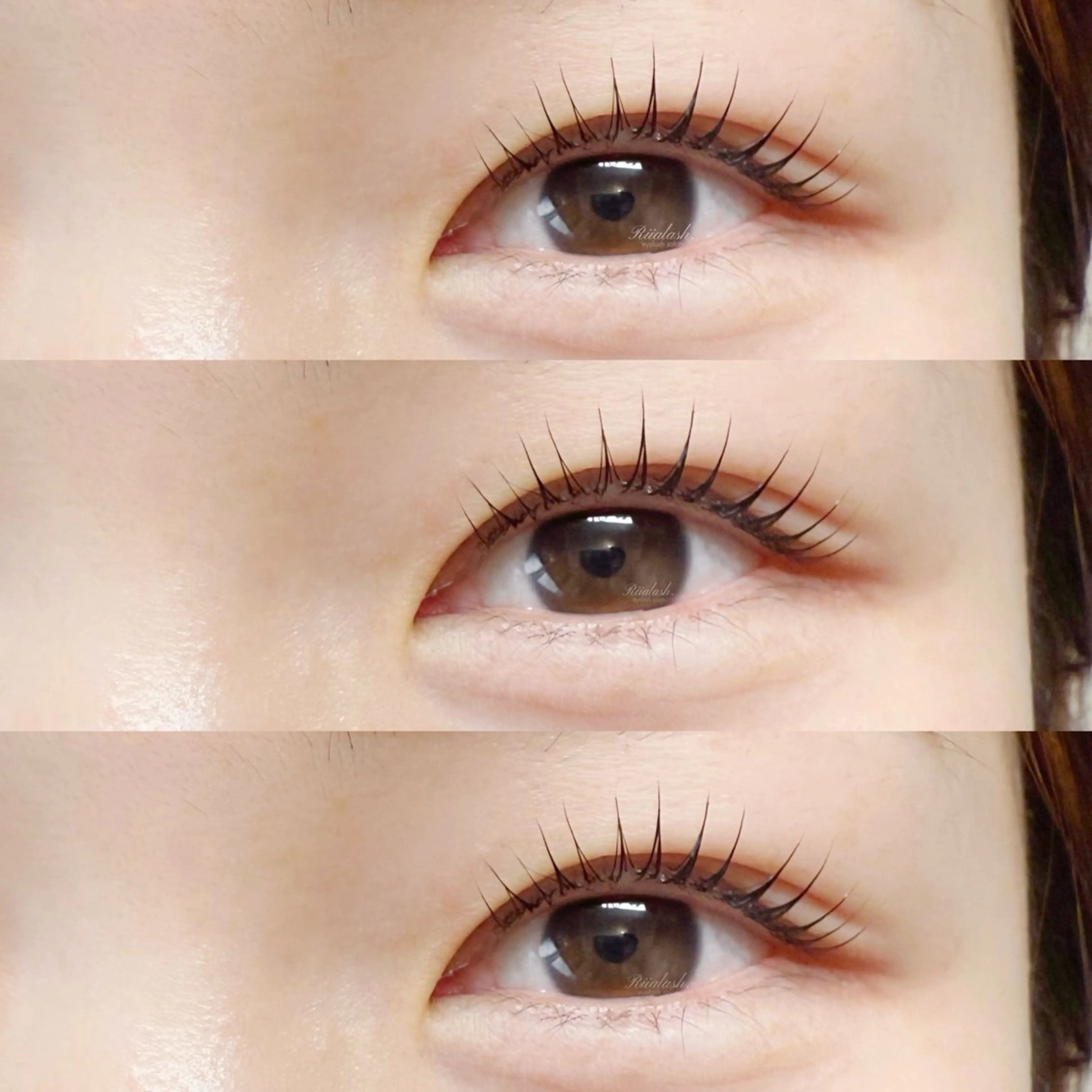 先着3様限定🧚‍♀️まつ毛パーマ/パリジェンヌ¥3,490  きゅるるんモテパーマ🎀の写真