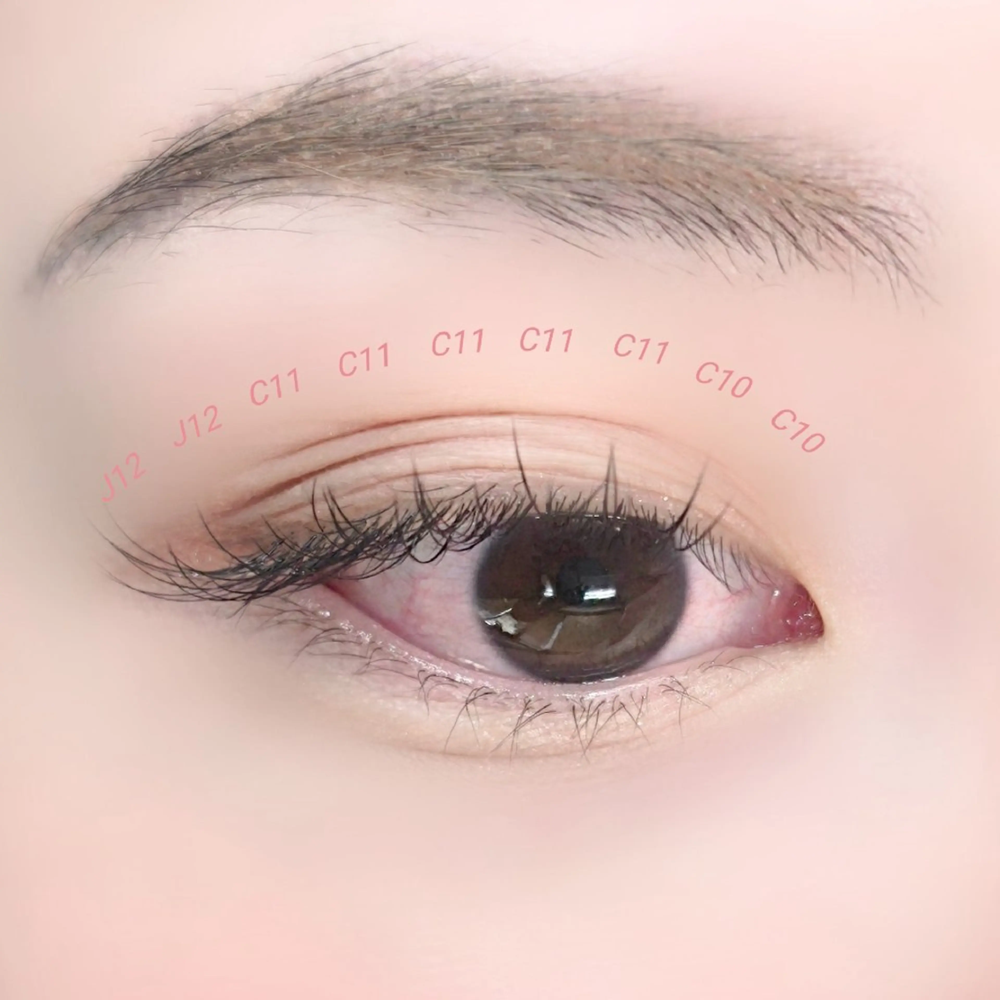 4月13日(月) 10:00~ LED × フラットラッシュorリペアモデル募集 両目で60本のお付け足し 全オフ❌の写真