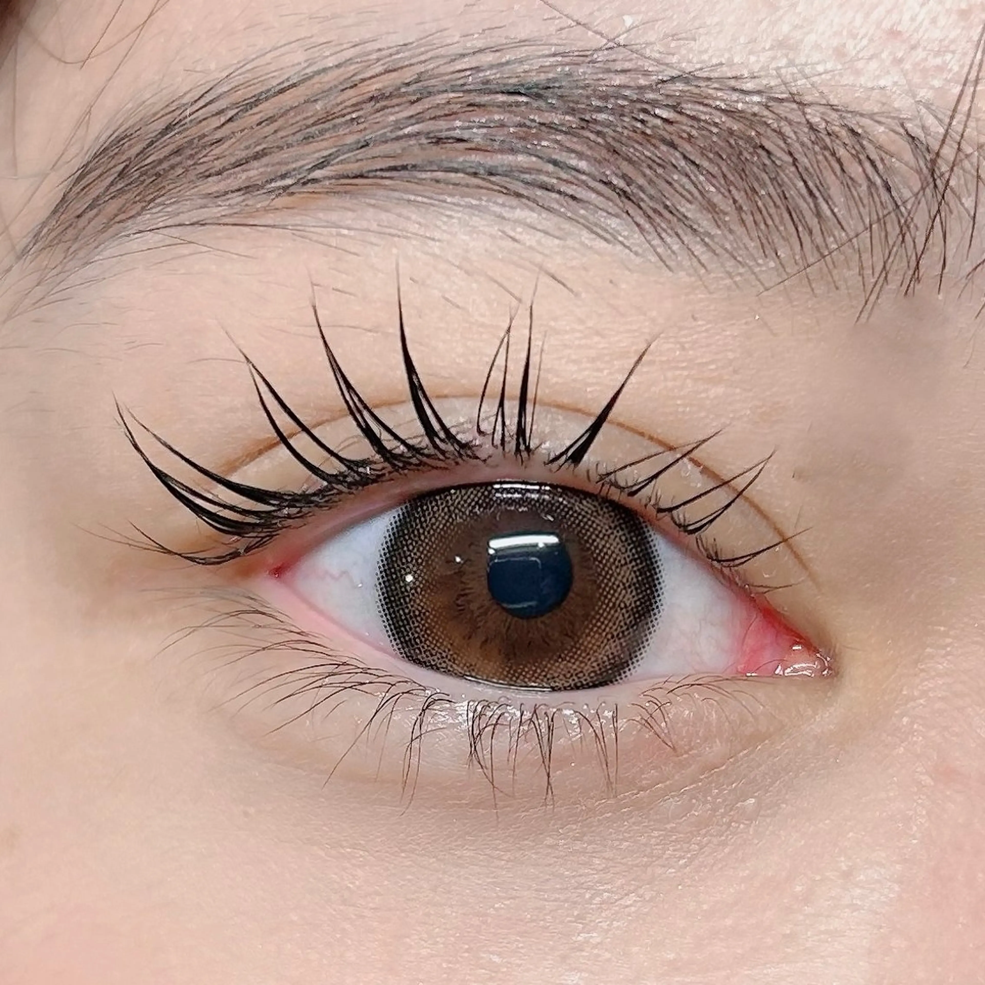 マツエク・マツパ パリジェンヌラッシュリフト 🌈透明感カラー アヤナ🎨のヘアスタイル