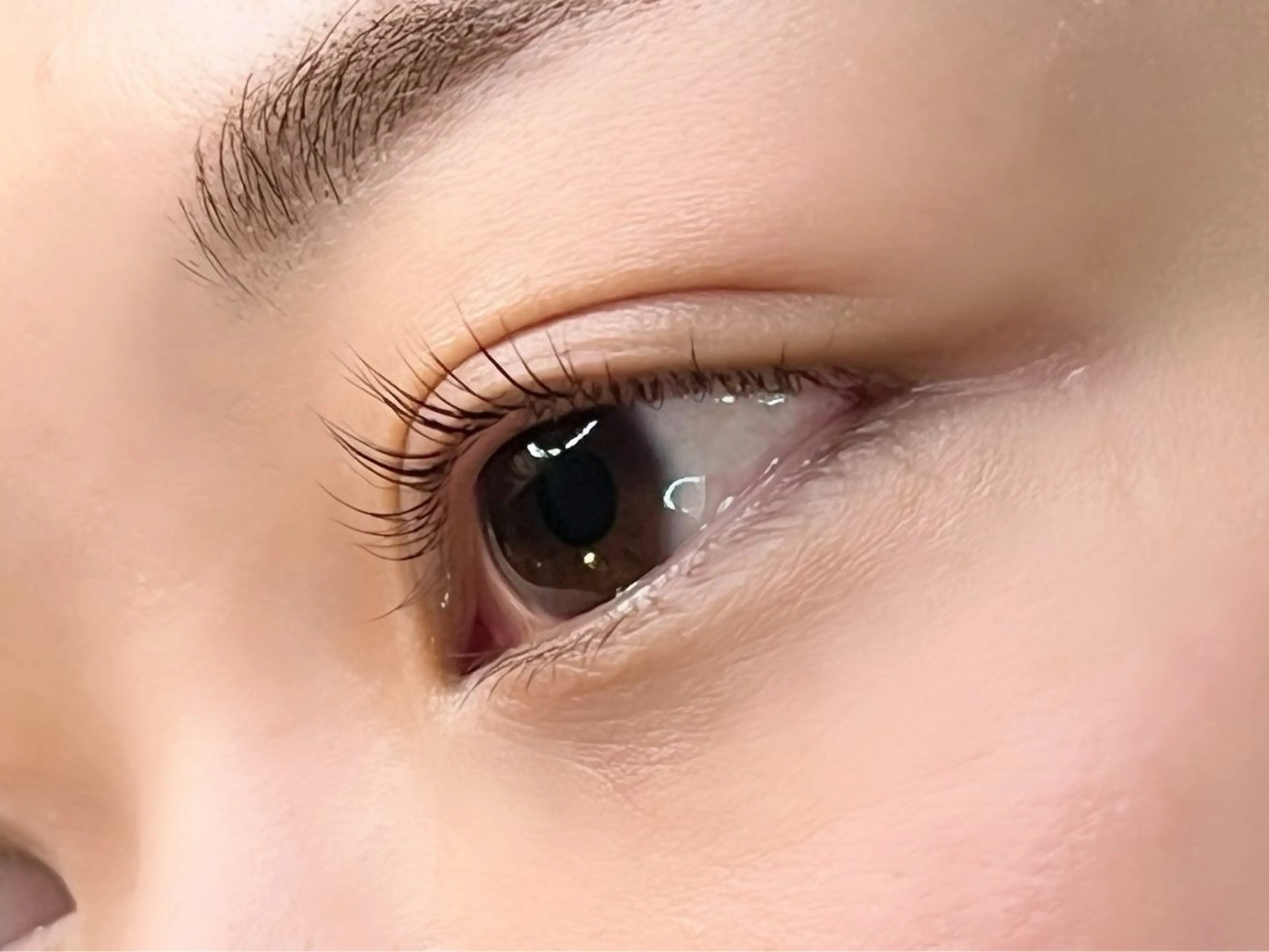 本日⭐️当日予約限定！コーティング無料💓【韓国発！埼玉初上陸⭐️】漆黒マスカラパーマの写真