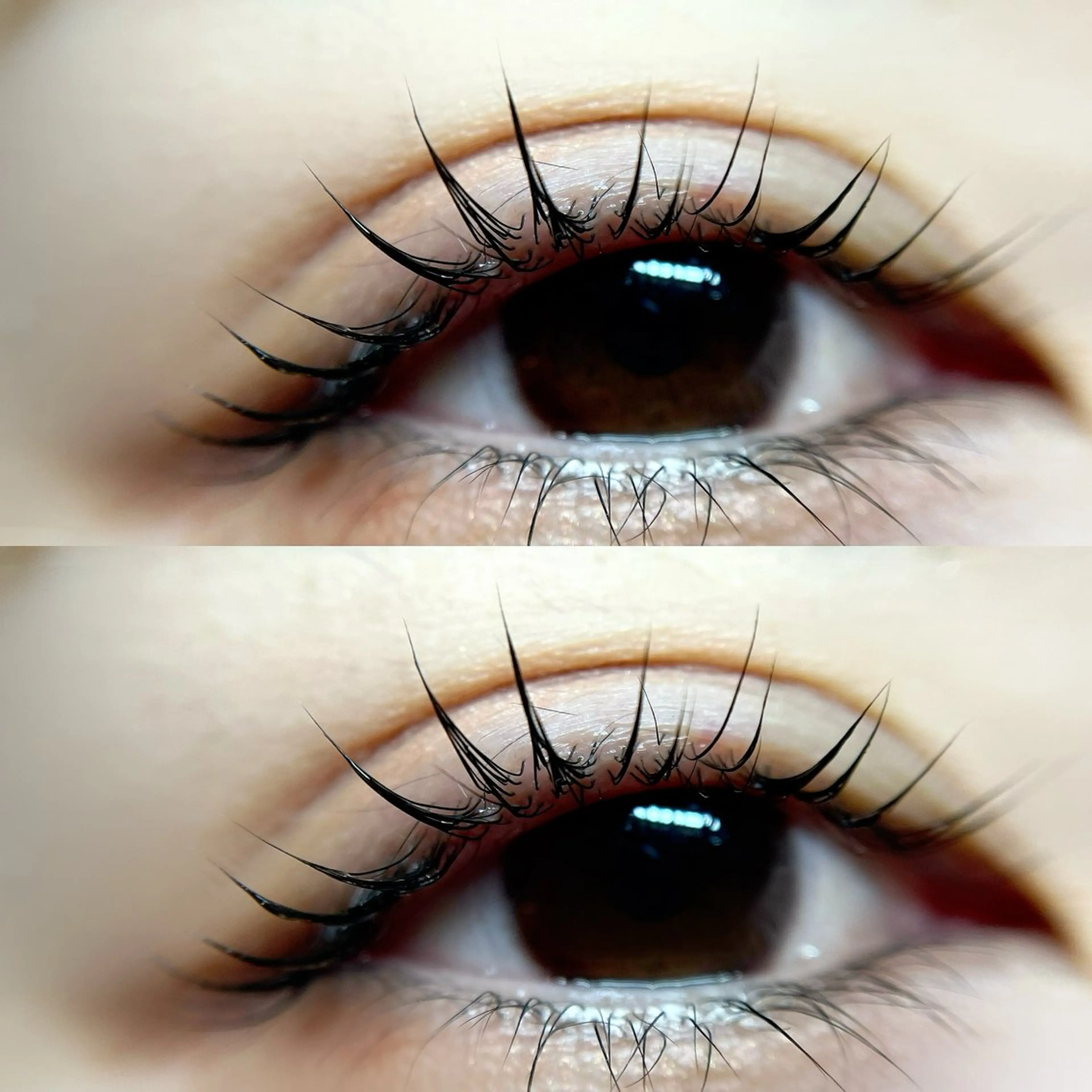 【アニバーサリークーポン】ラッシュリフト➕コーティング(クリアorブラックから選べます)の写真