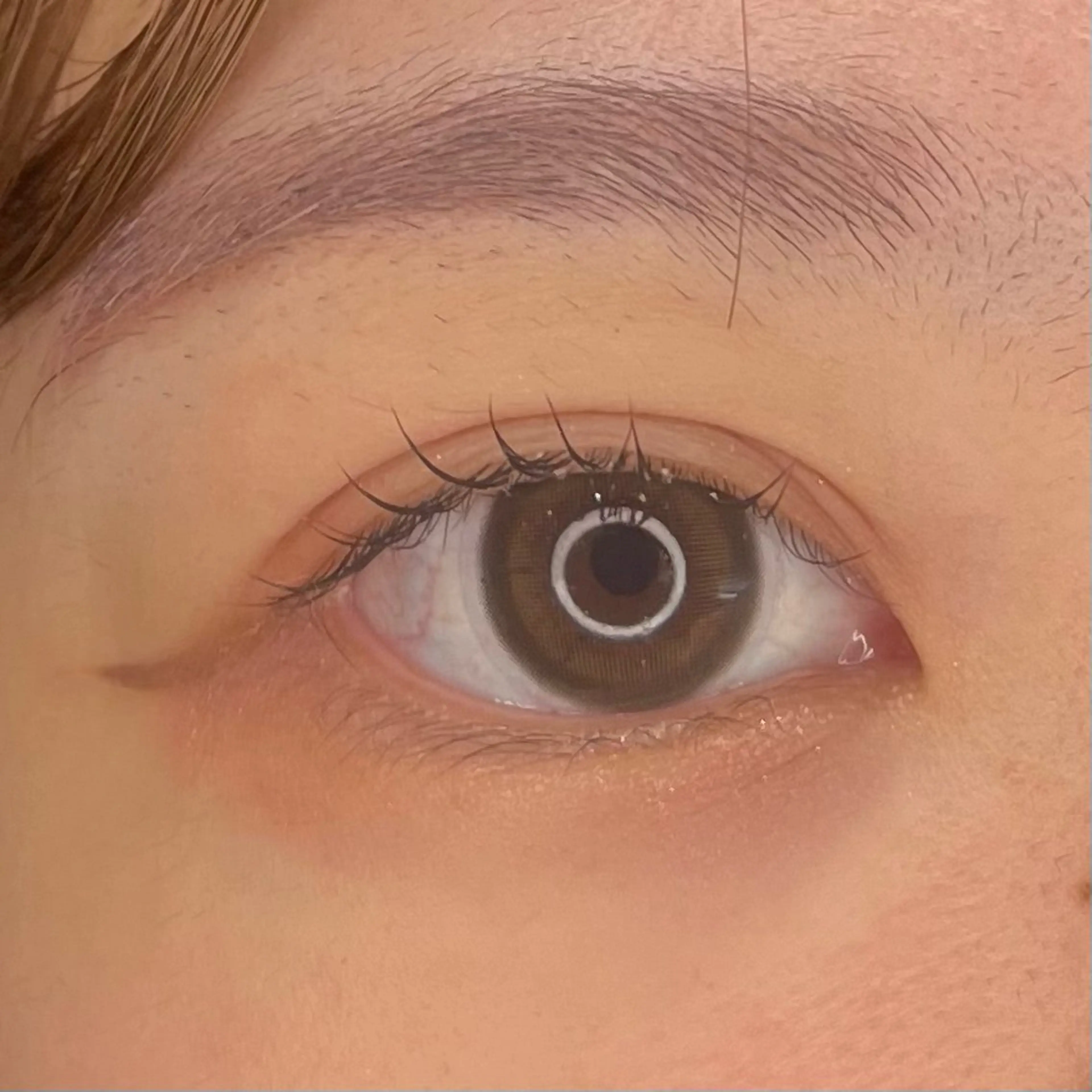 マツエク・マツパ まつげパーマ マツパ EYE&NAIL M / 蝦名🌛⋆゜のマツエク・マツパデザイン