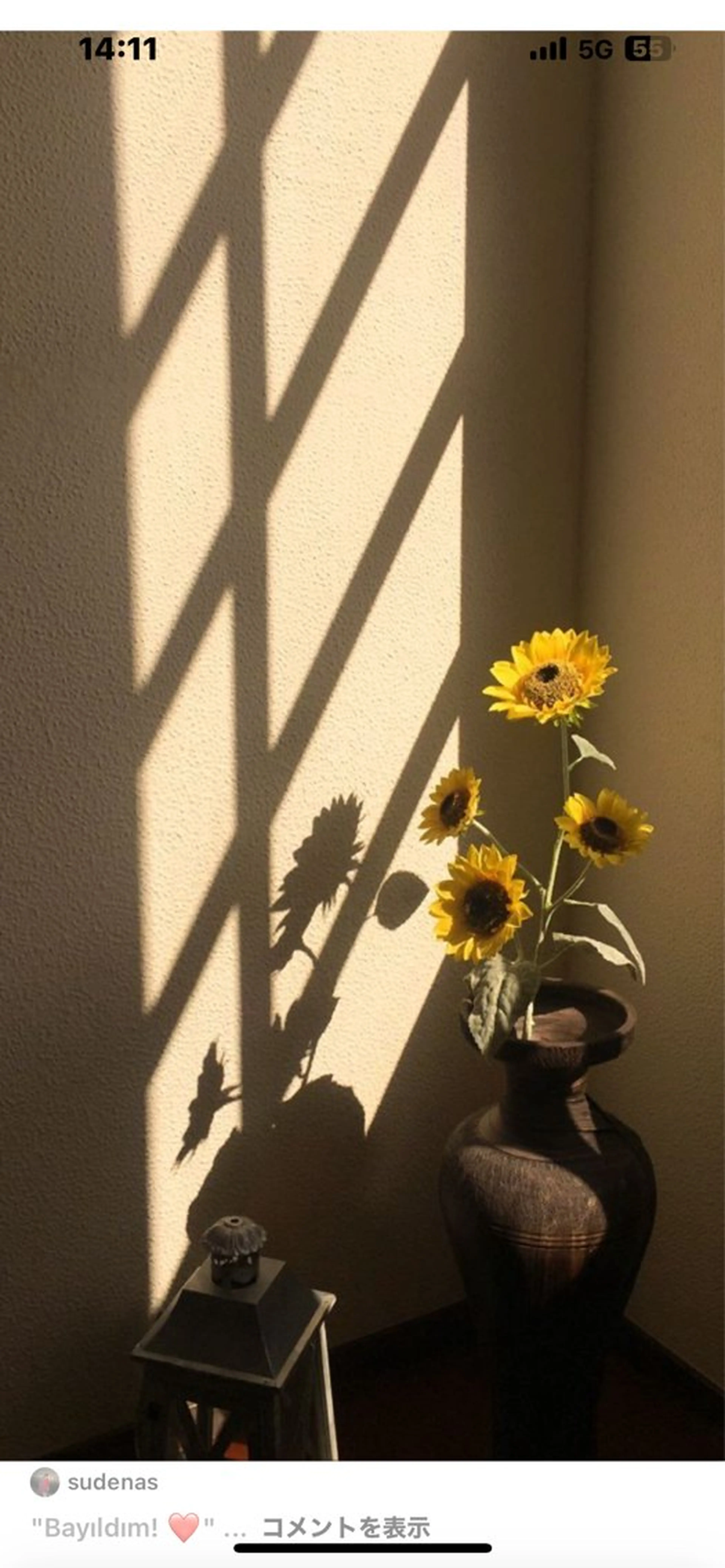 Mana ·͜·ᰔᩚのマツエク・マツパデザイン