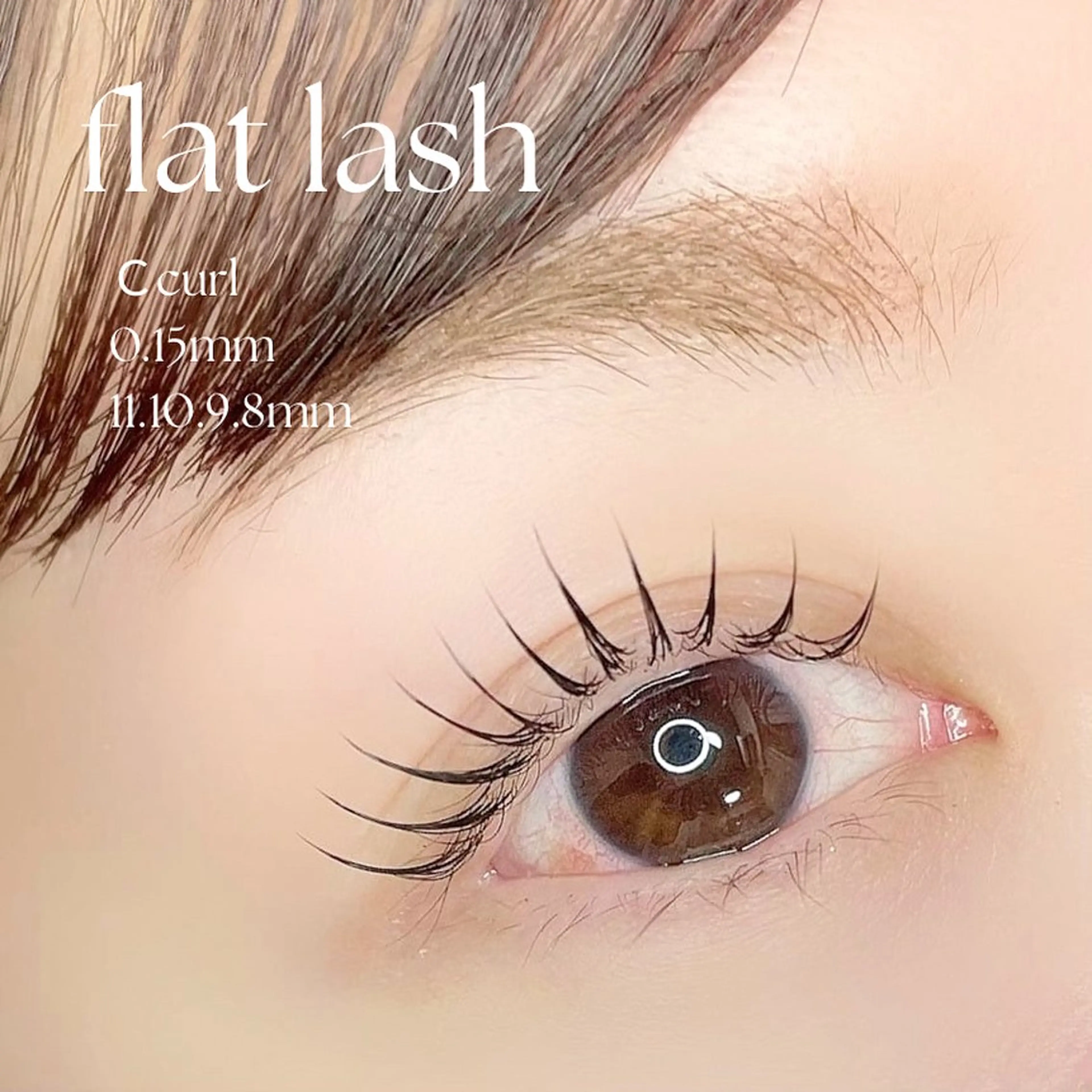 【ご新規様・オフ込】フラットラッシュ　100本の写真