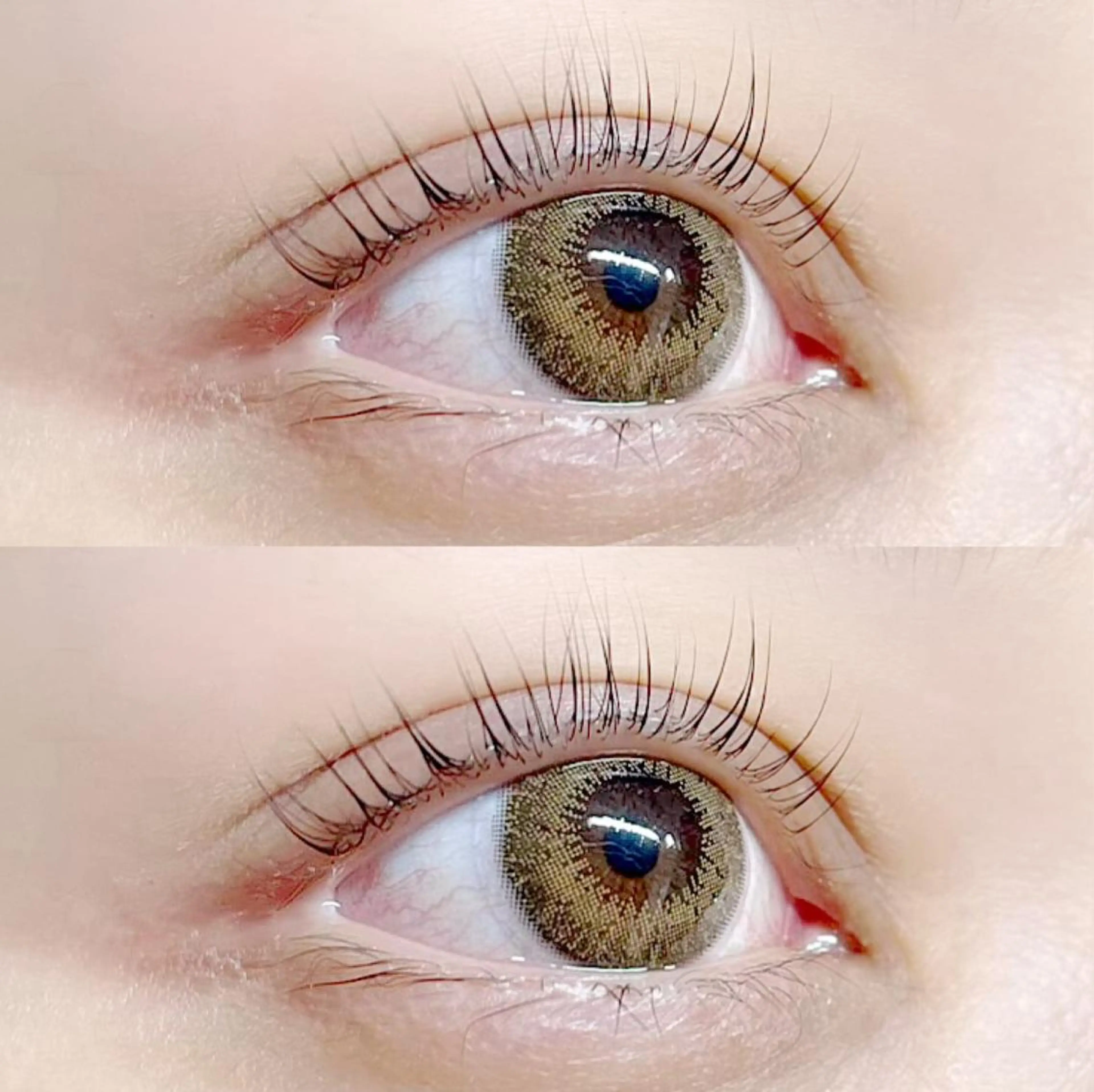 ミニモ限定🌟パリジェンヌラッシュリフトの写真