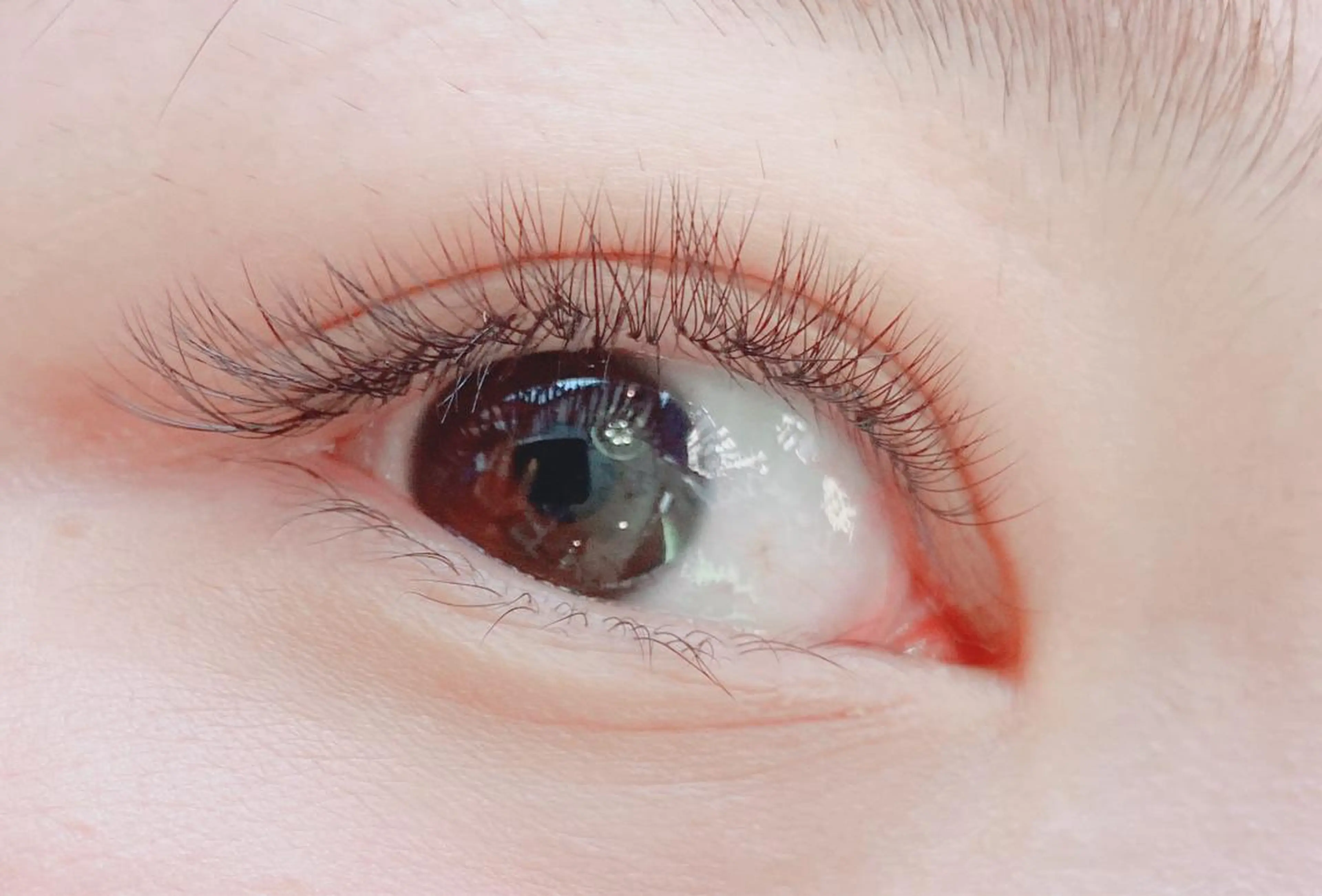 マツエク・マツパ ナチュラル マツエク 【那覇/束感まつ毛】 ｷｬﾒﾙのマツエク・マツパデザイン