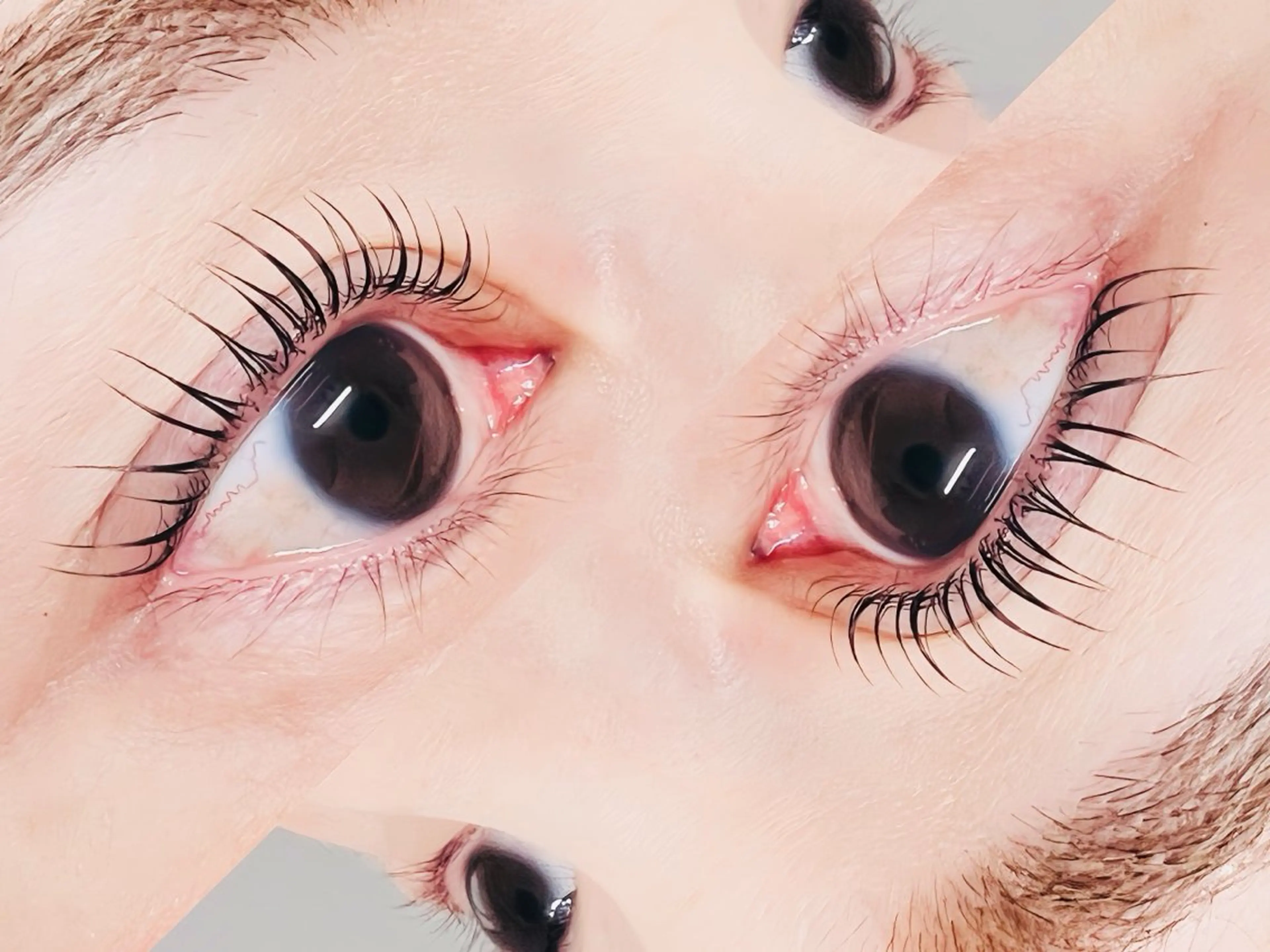 【平日限定】似合わせ🩶Lash lift(アイシャンプー付き)¥8500→¥5360の写真