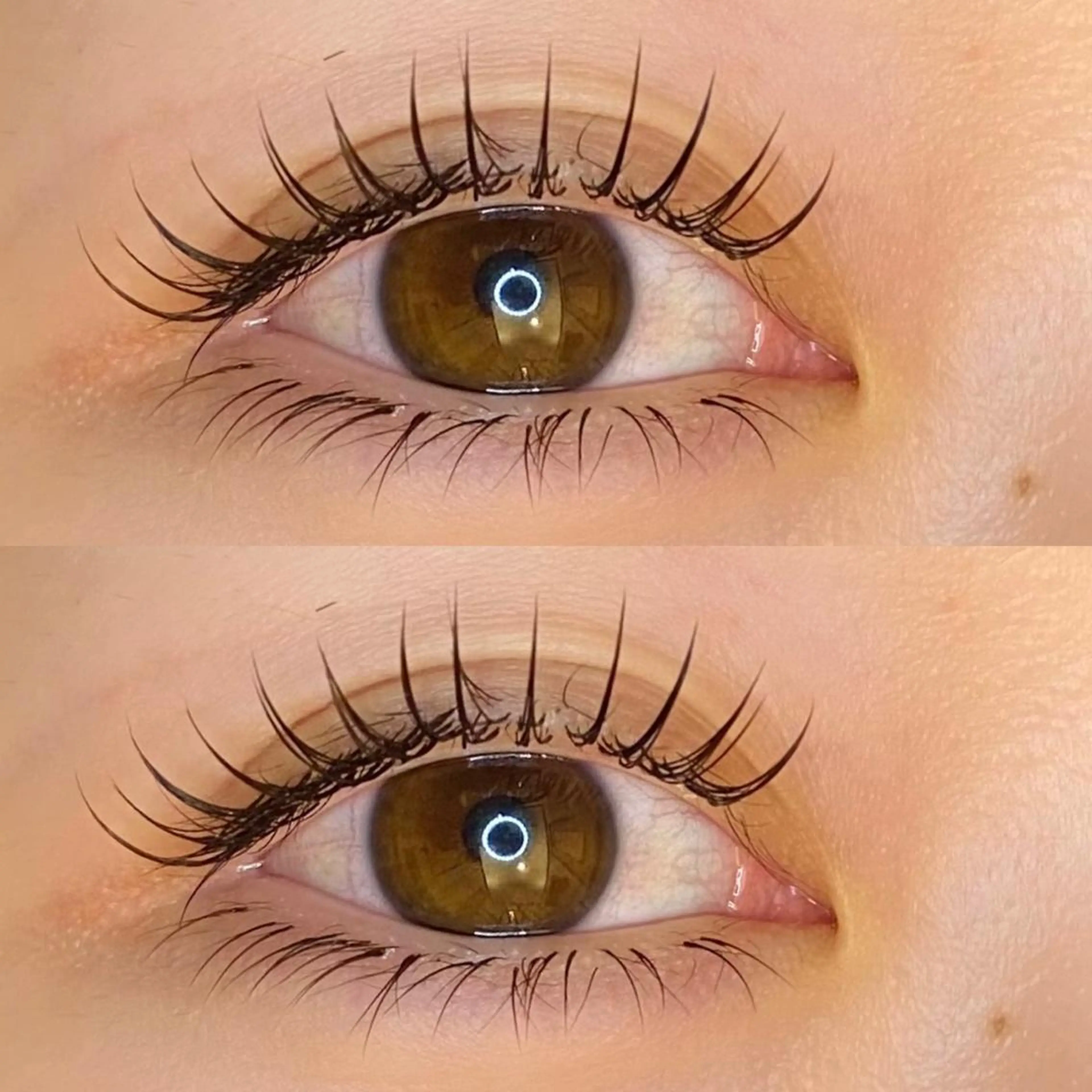 平日限定❤️リフエク🎀（まつげパーマとエクステ）100本まで⭐️コーティング+アイシャンプー付き🫧10分前ご来店必須の写真