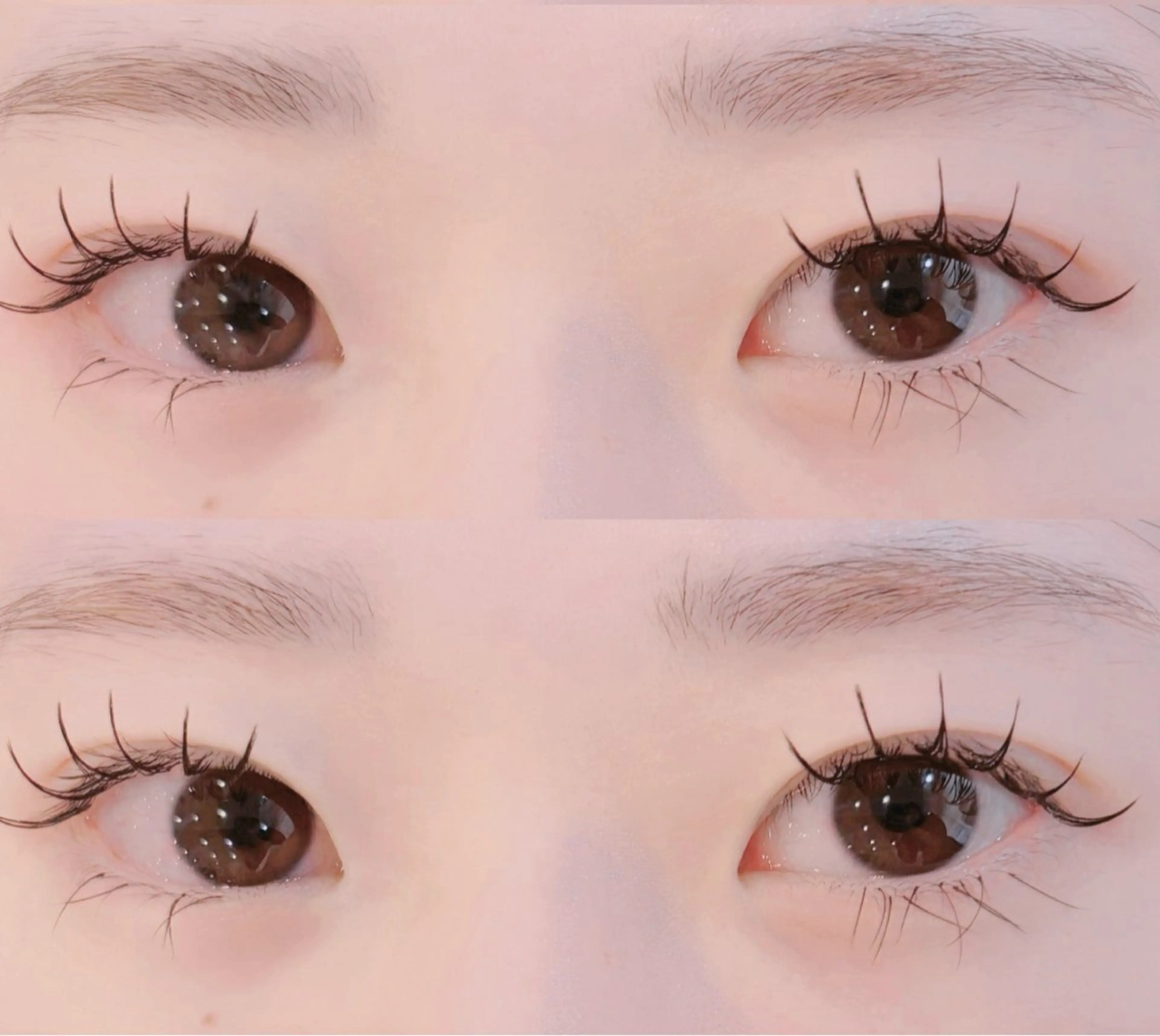 🌼フラットラッシュ🌼80​〜​100本まで（再来+1000円）の写真