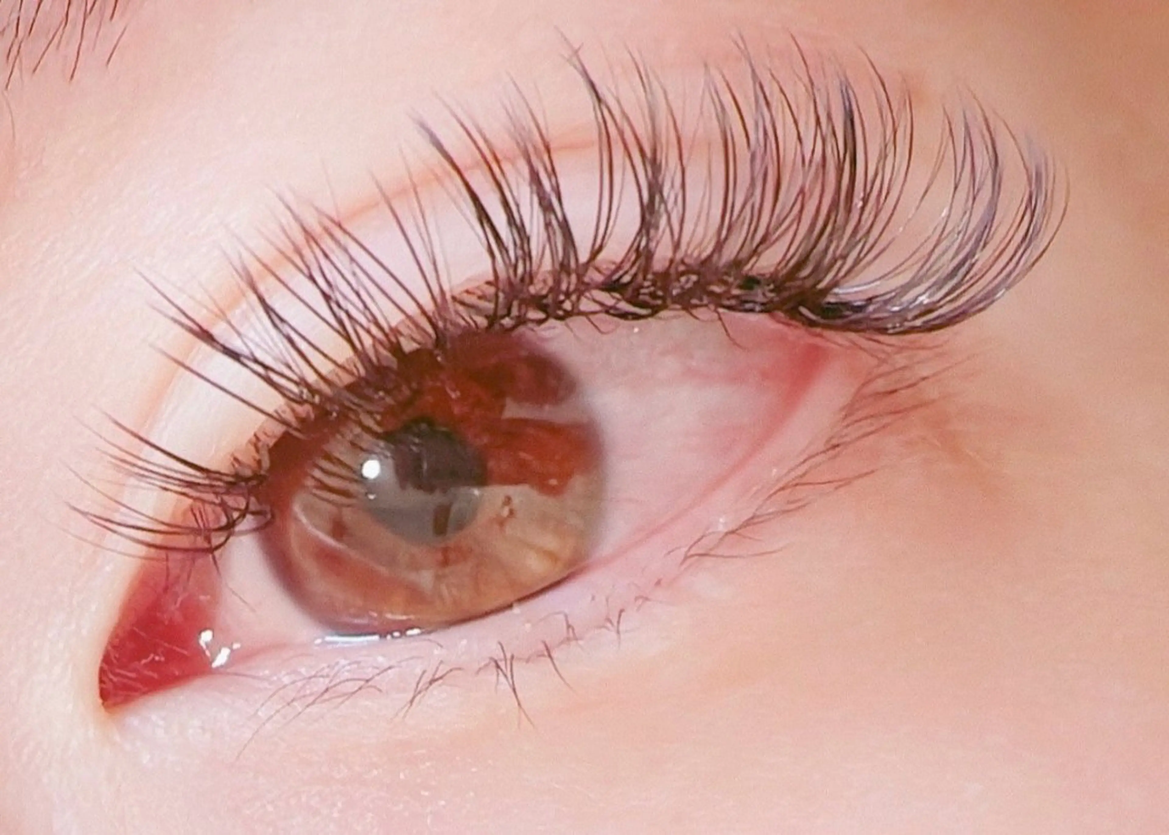 マツエク・マツパ kawaiiyasan-matsuge to iroiro-所属・kawaiiya sanのマツエク・マツパデザイン