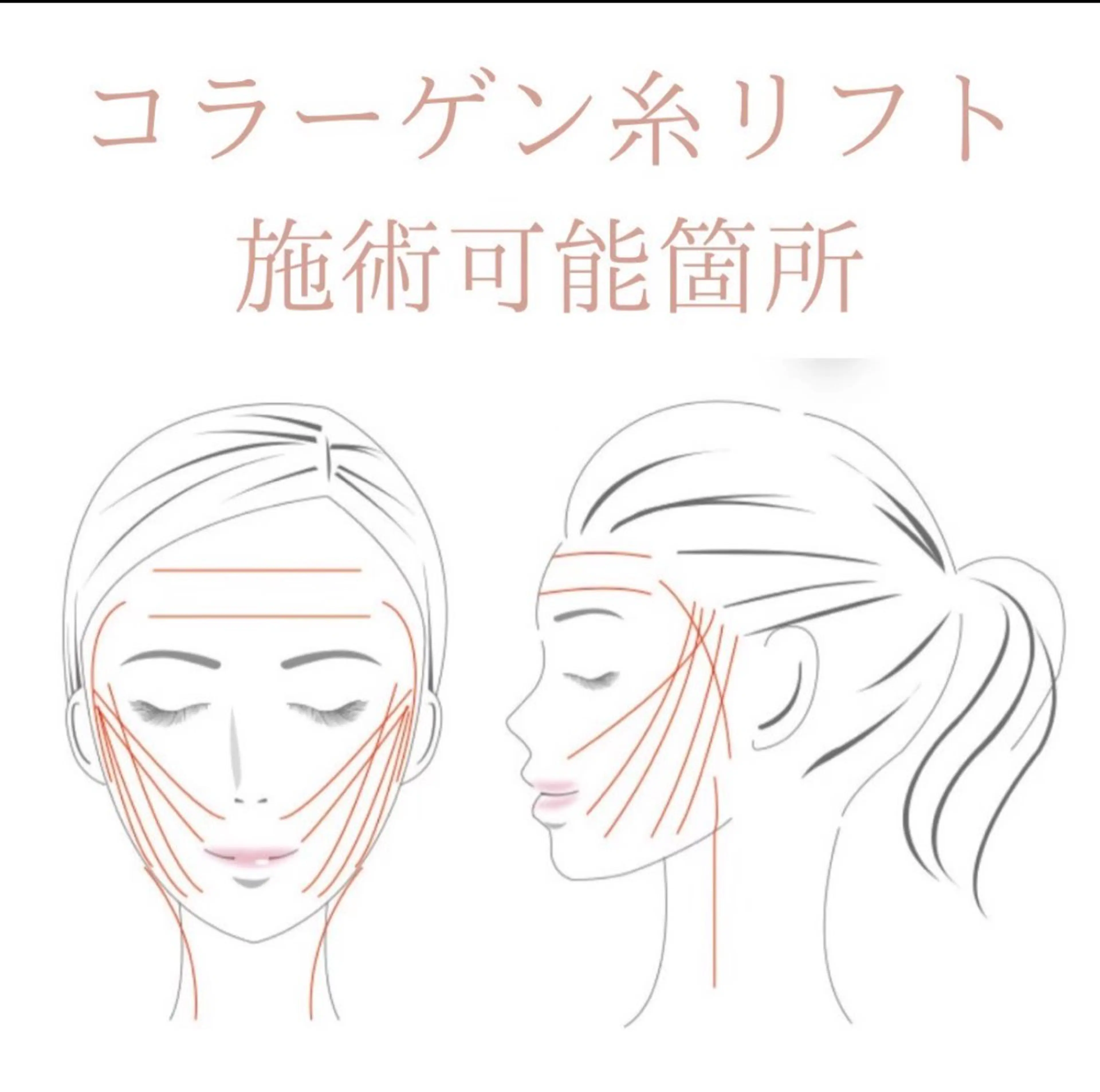 秒速小顔新宿南口 大谷のその他イメージ