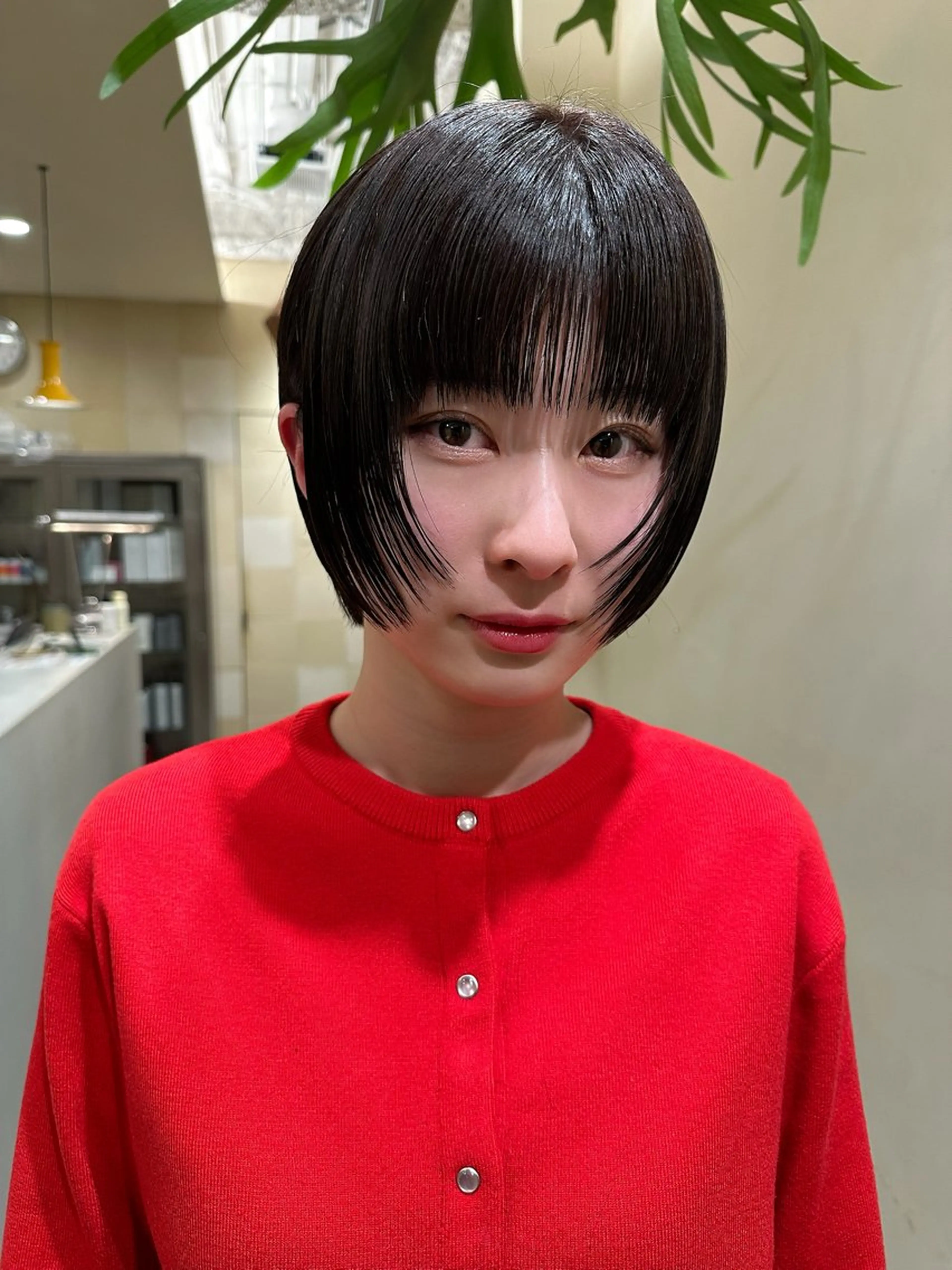 カット+1ステップトリートメントの写真