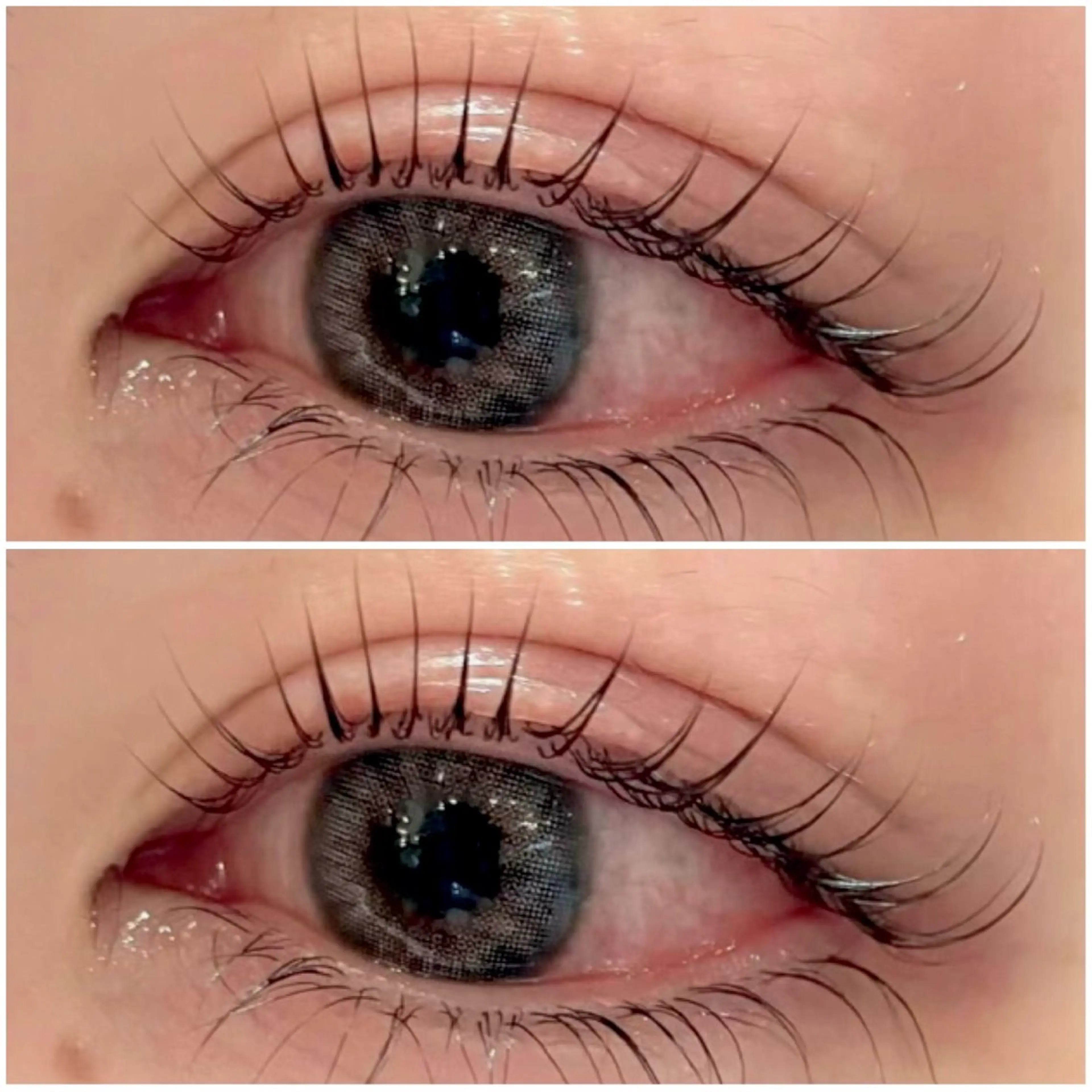 🥨大人気メーテルラッシュリフト🥨(コーティング仕上げ)の写真