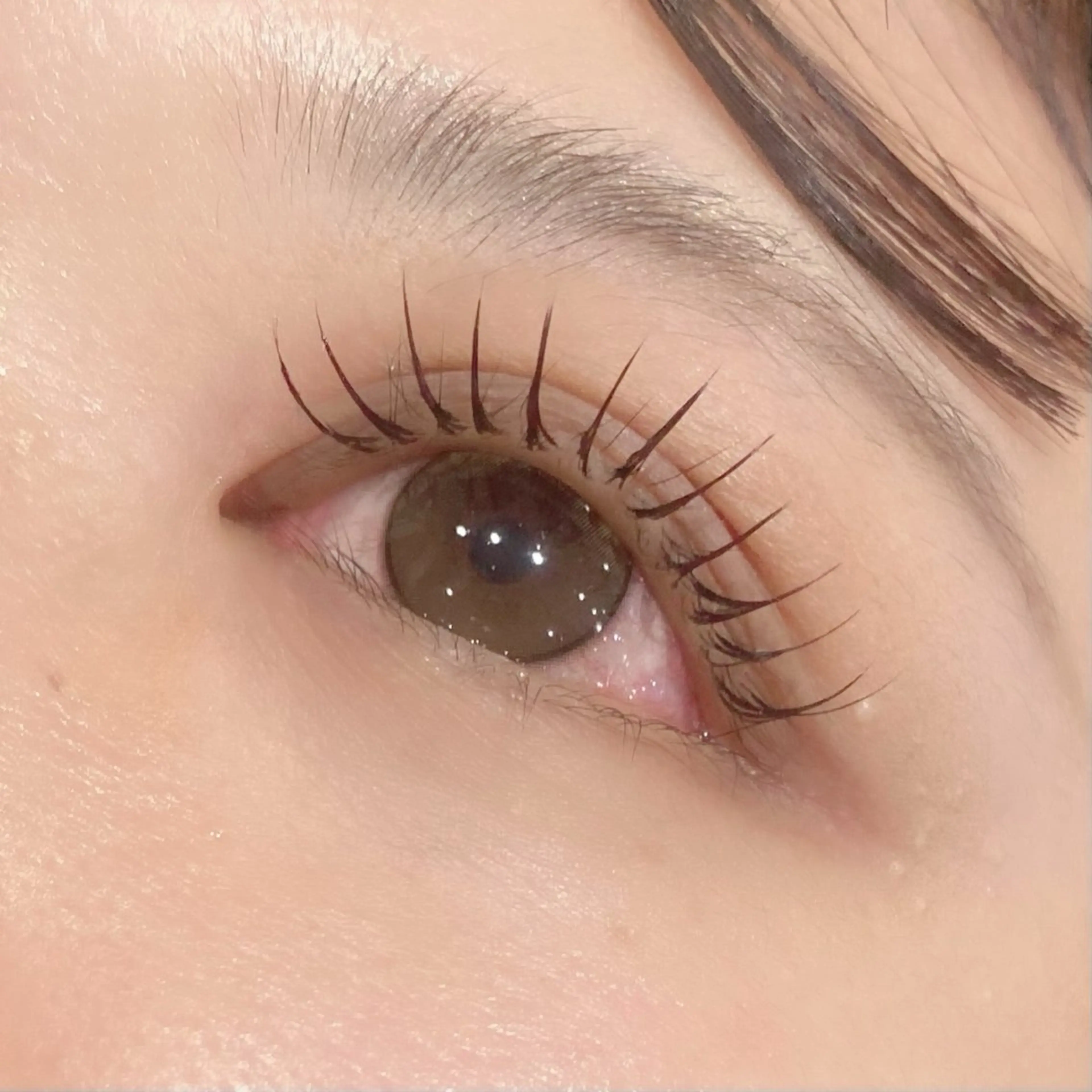 マツエク・マツパ Cカール gioia池袋店所属・gioia 根津のマツエク・マツパデザイン