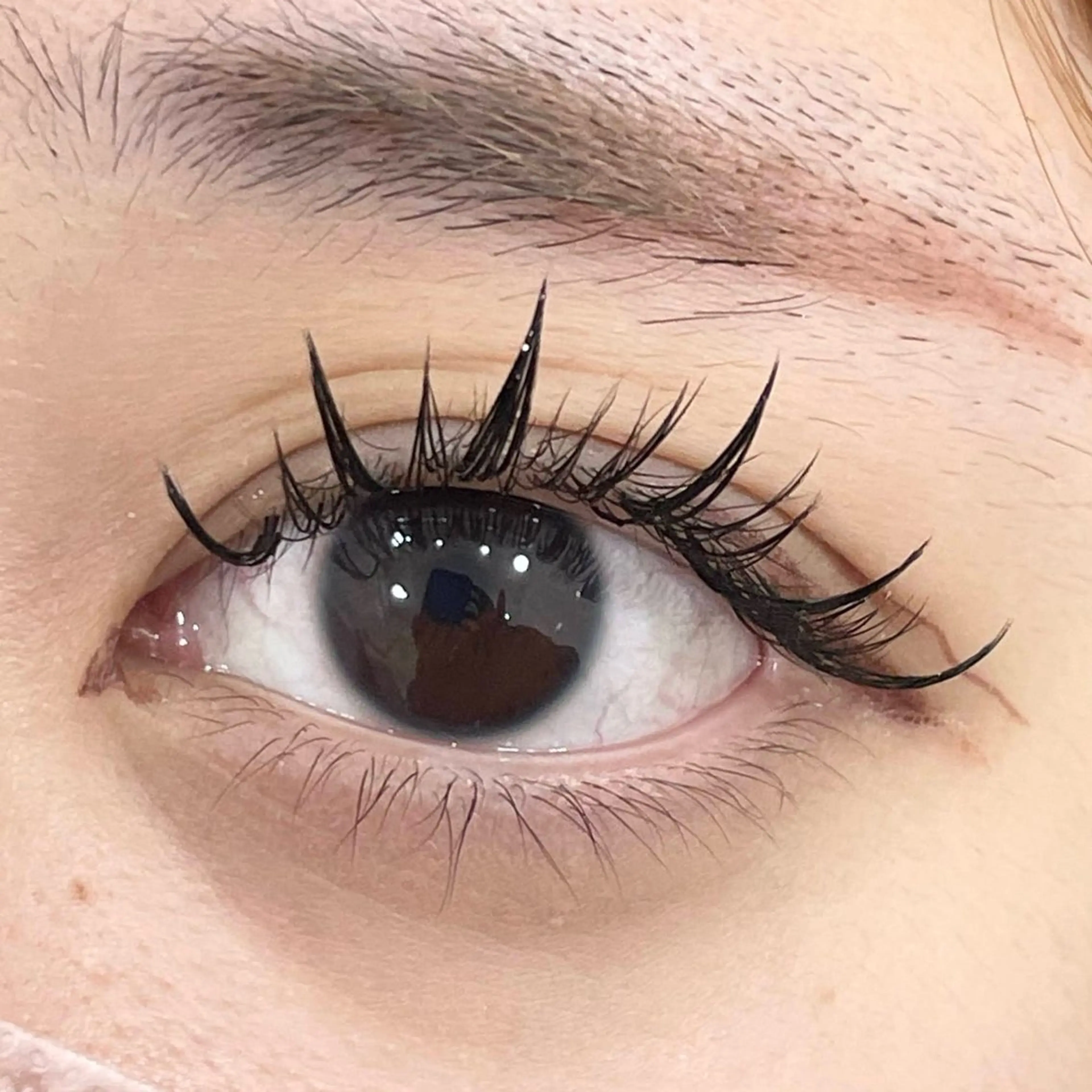 マツエク・マツパ ワンホンマツエク NANA Milano所属・yuuka Fのマツエク・マツパデザイン