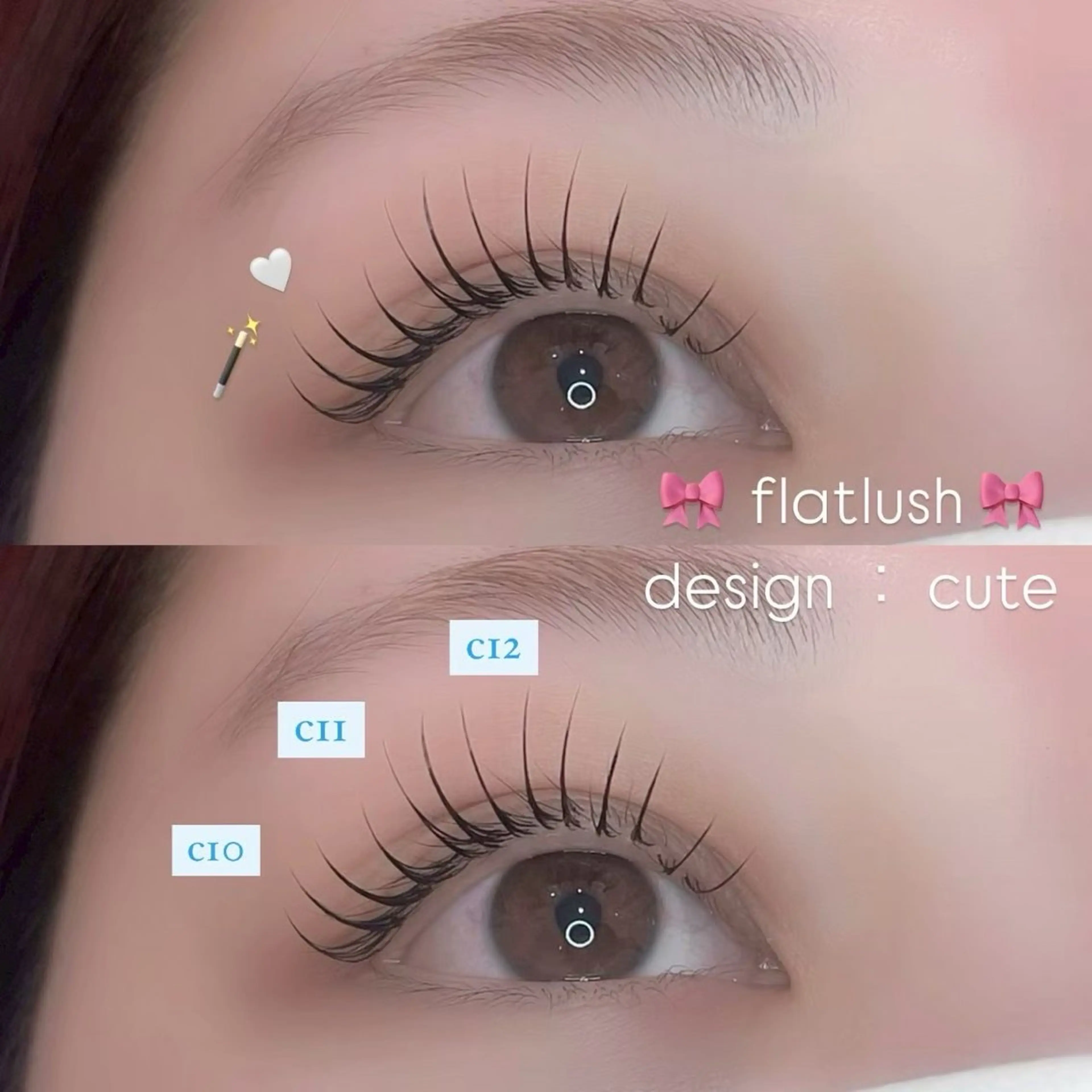 フラットラッシュ120本の写真