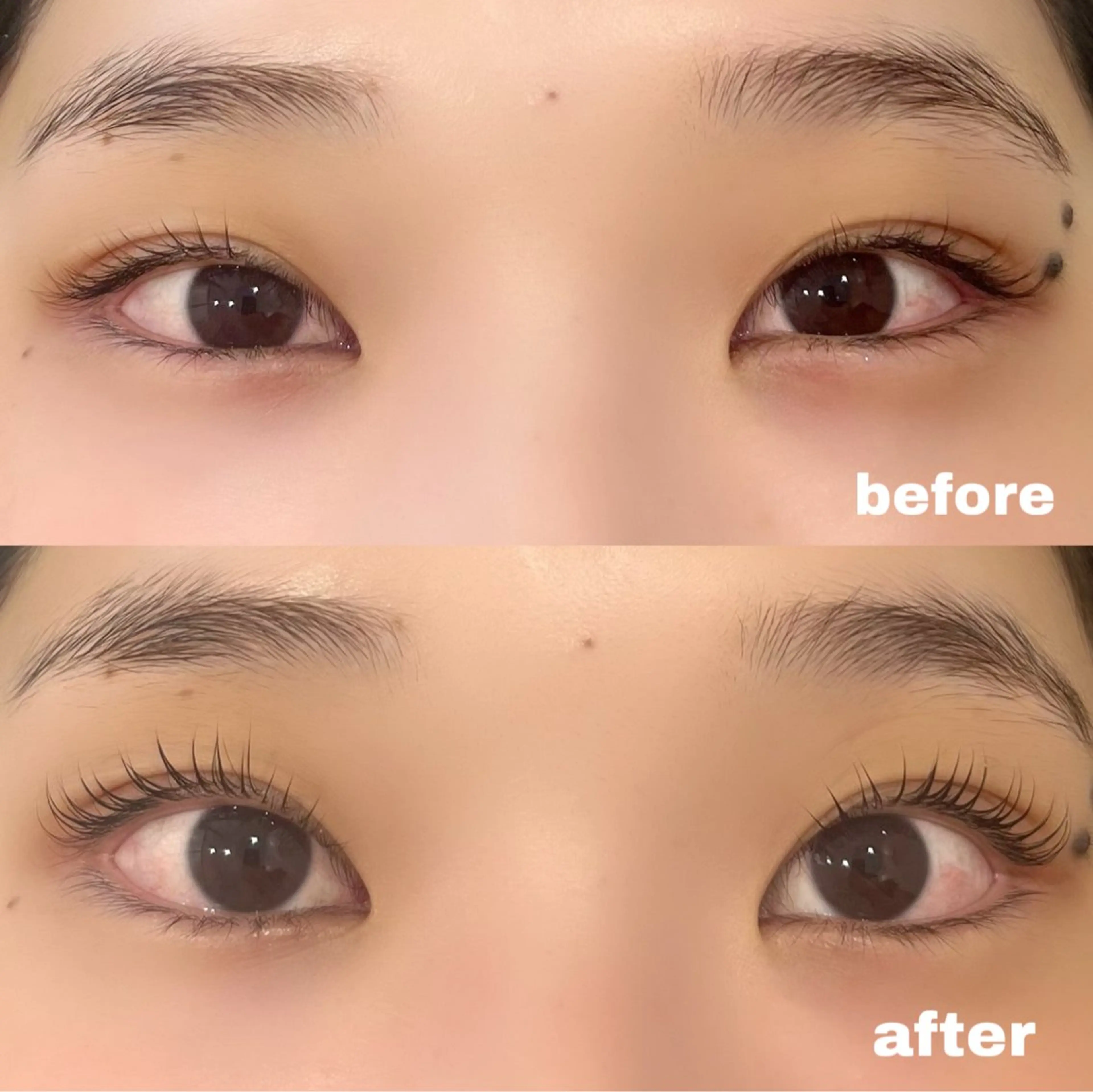 マツエク・マツパ マツパ epill Lenna .🦋のマツエク・マツパデザイン