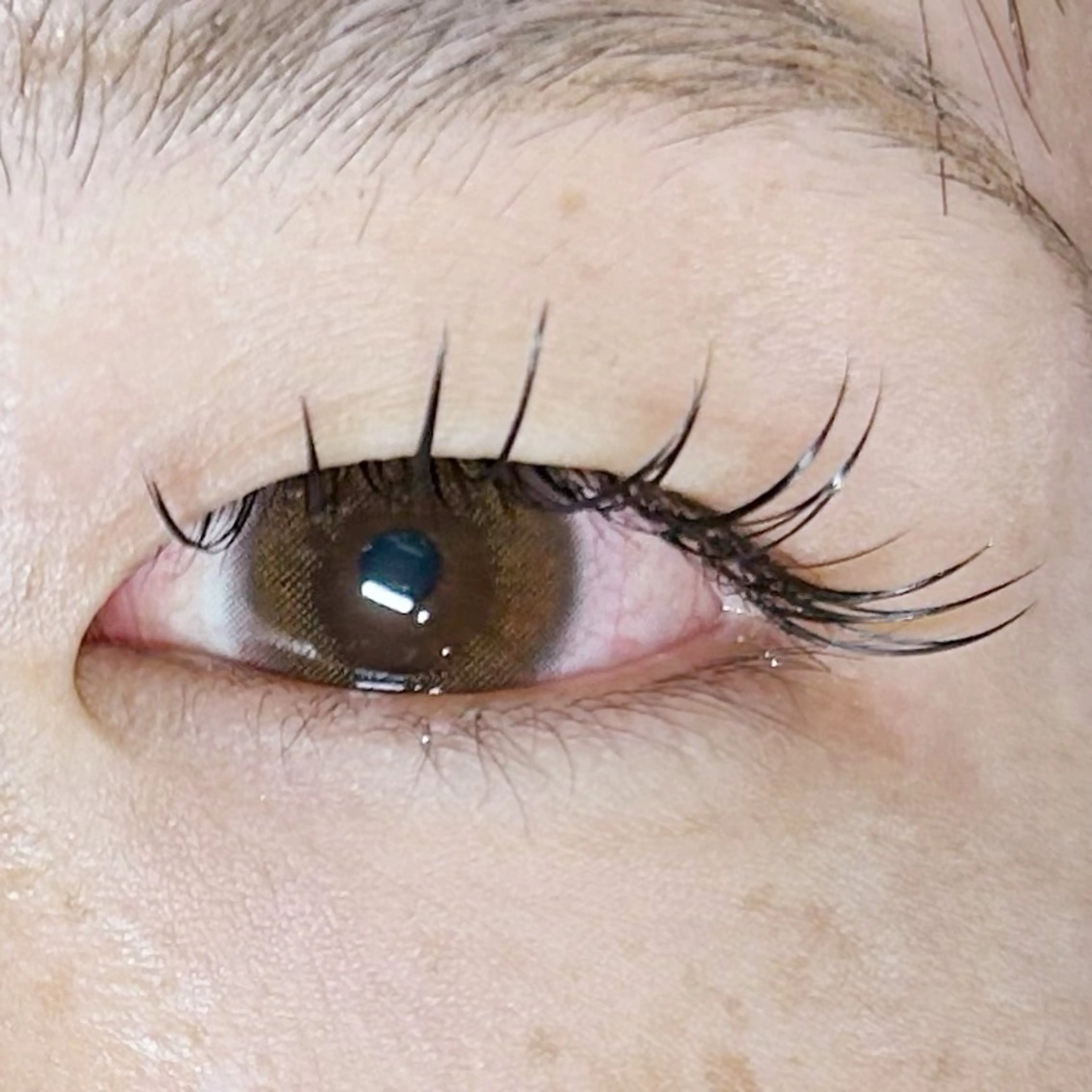 マツエク・マツパ フラットラッシュ soposilma 🧸今季OPENのマツエク・マツパデザイン