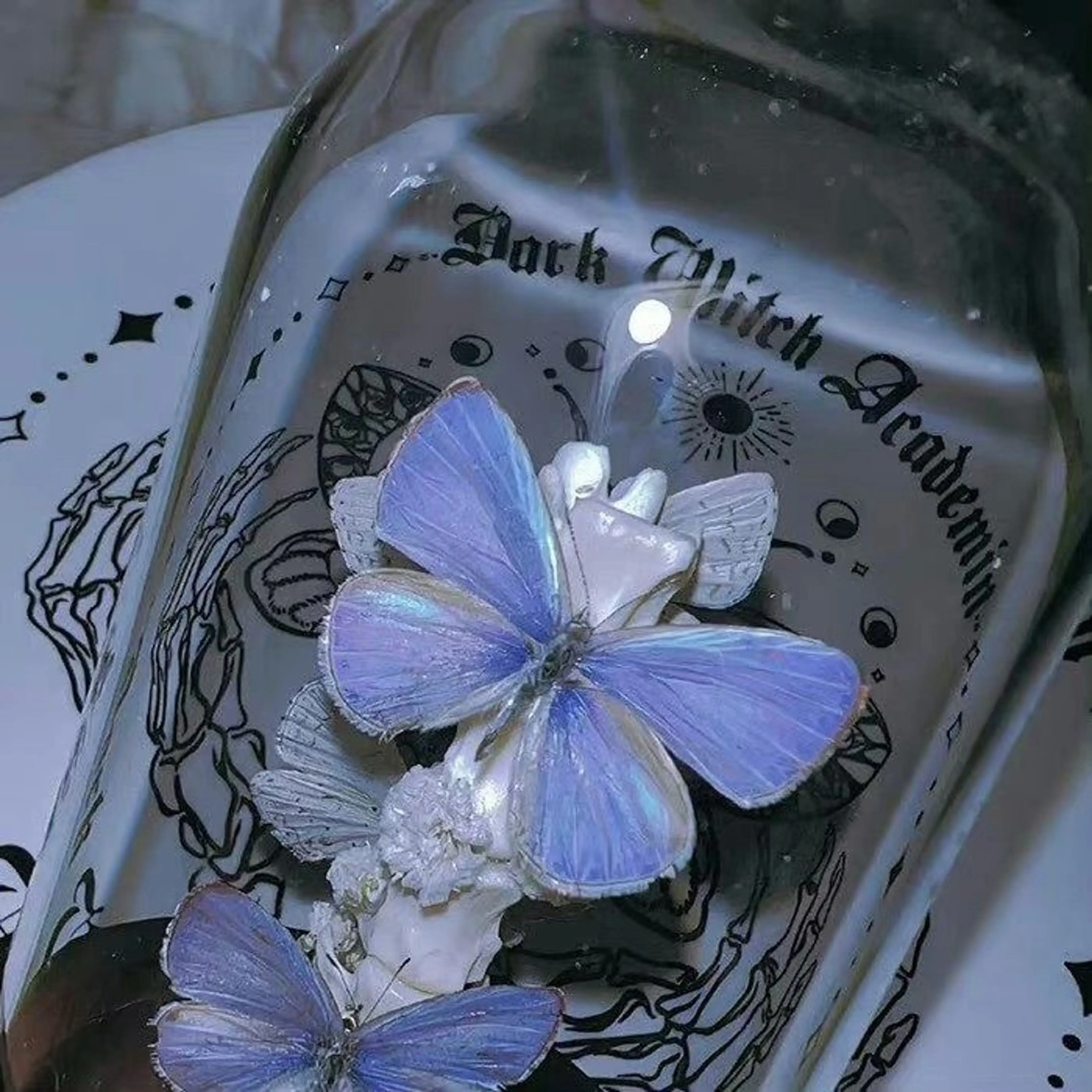 マツエク・マツパ eyelist. mizuki🐈‍⬛の眉毛・アイブロウイメージ