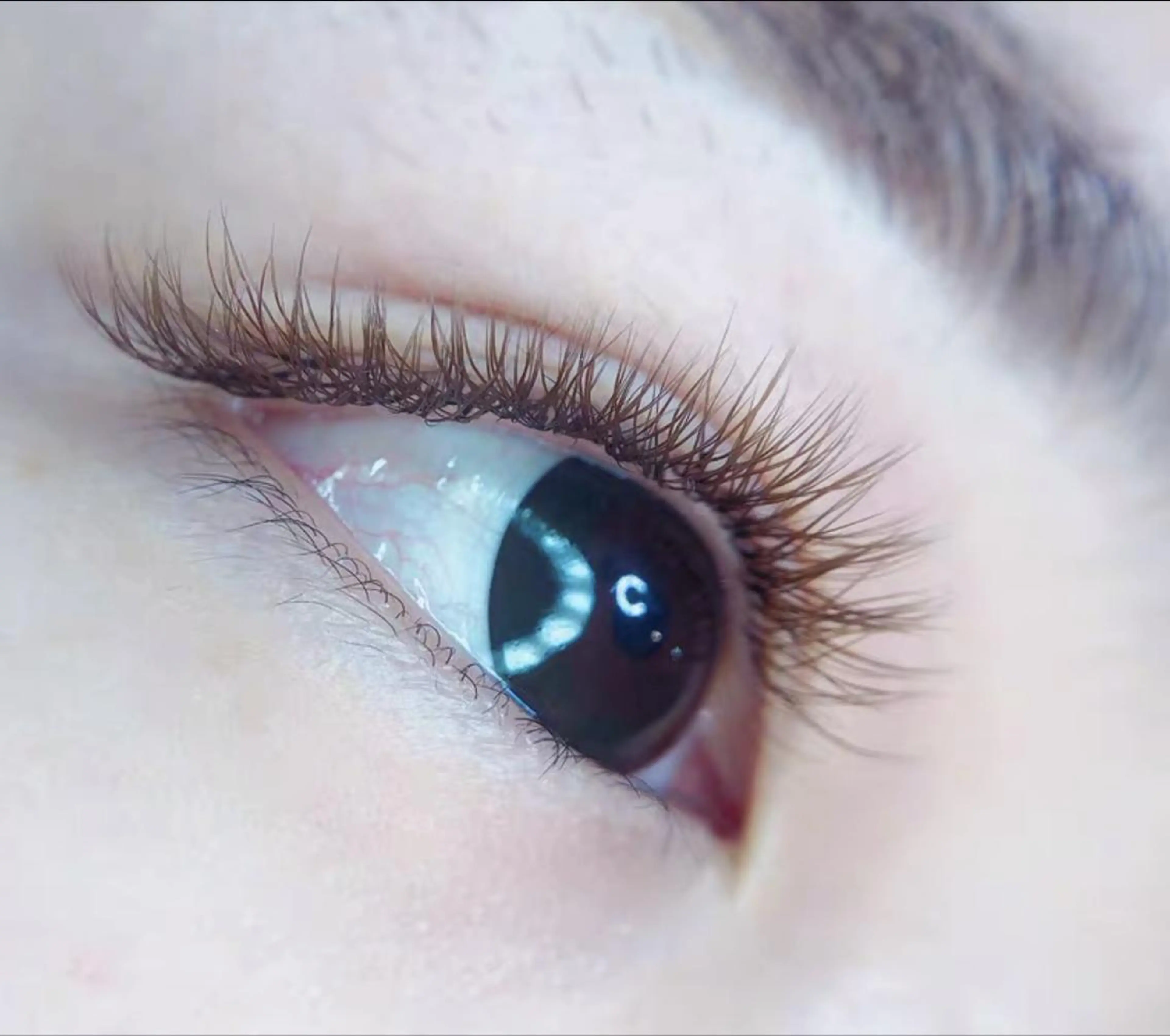 マツエク・マツパ Cute beauty2のマツエク・マツパデザイン