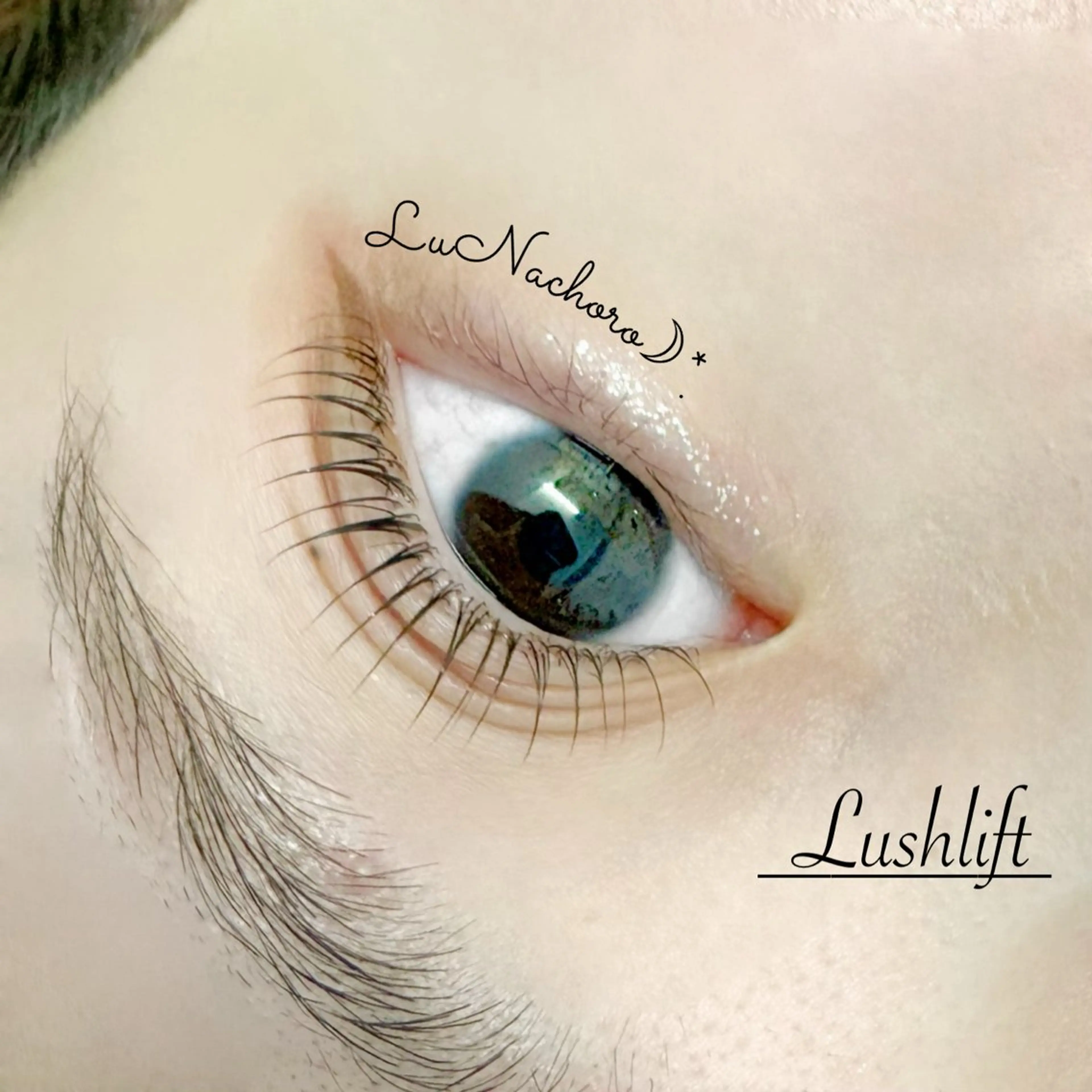 マツエク・マツパ Jessica荻窪 🌙山下のマツエク・マツパデザイン