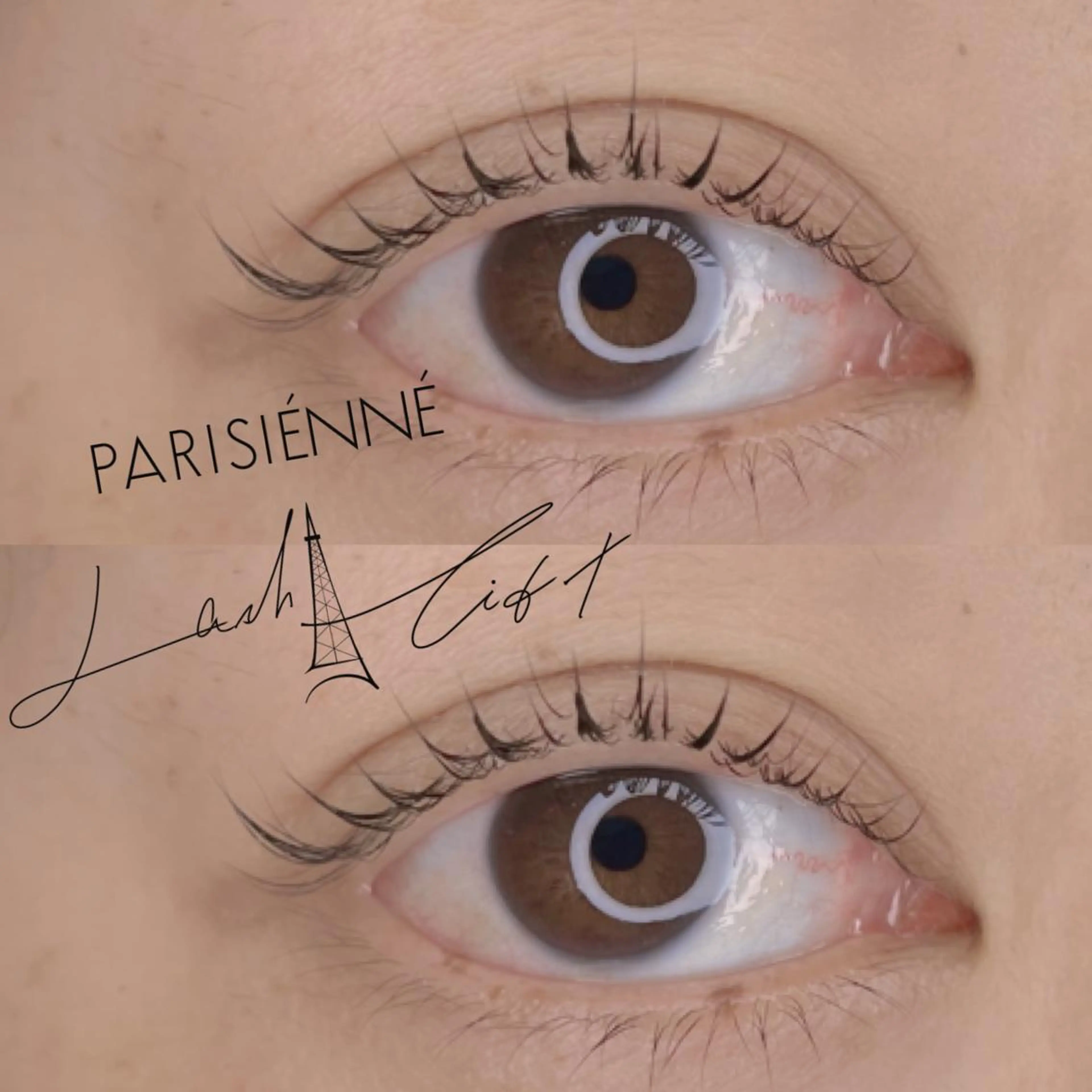 マツエク・マツパ マツパ 𝕁𝔼𝕃𝕃𝕐 𝕃𝔸𝕊ℍのマツエク・マツパデザイン