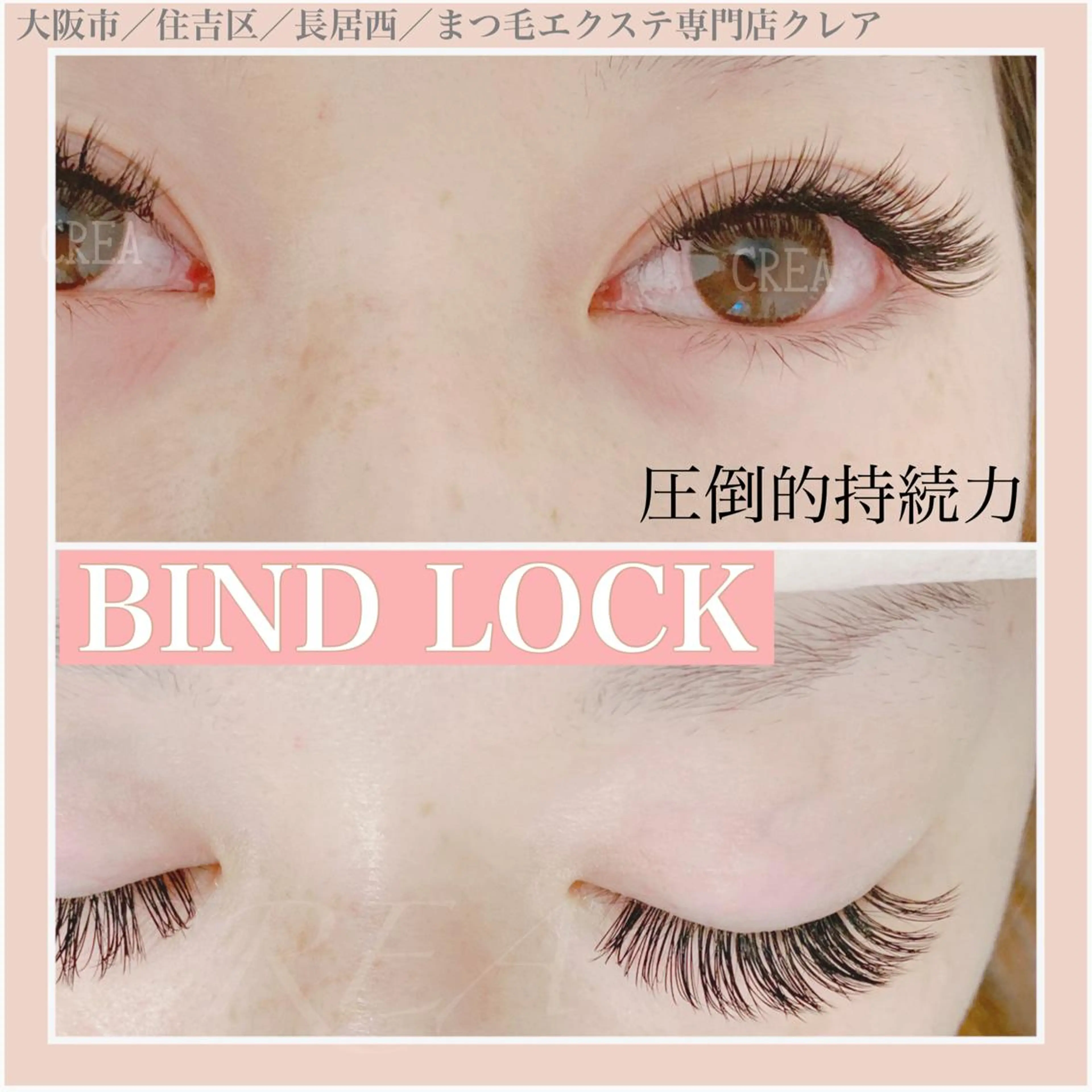 何度でも☆バインドロック160束/480本(オフ・コーティング込み)の写真