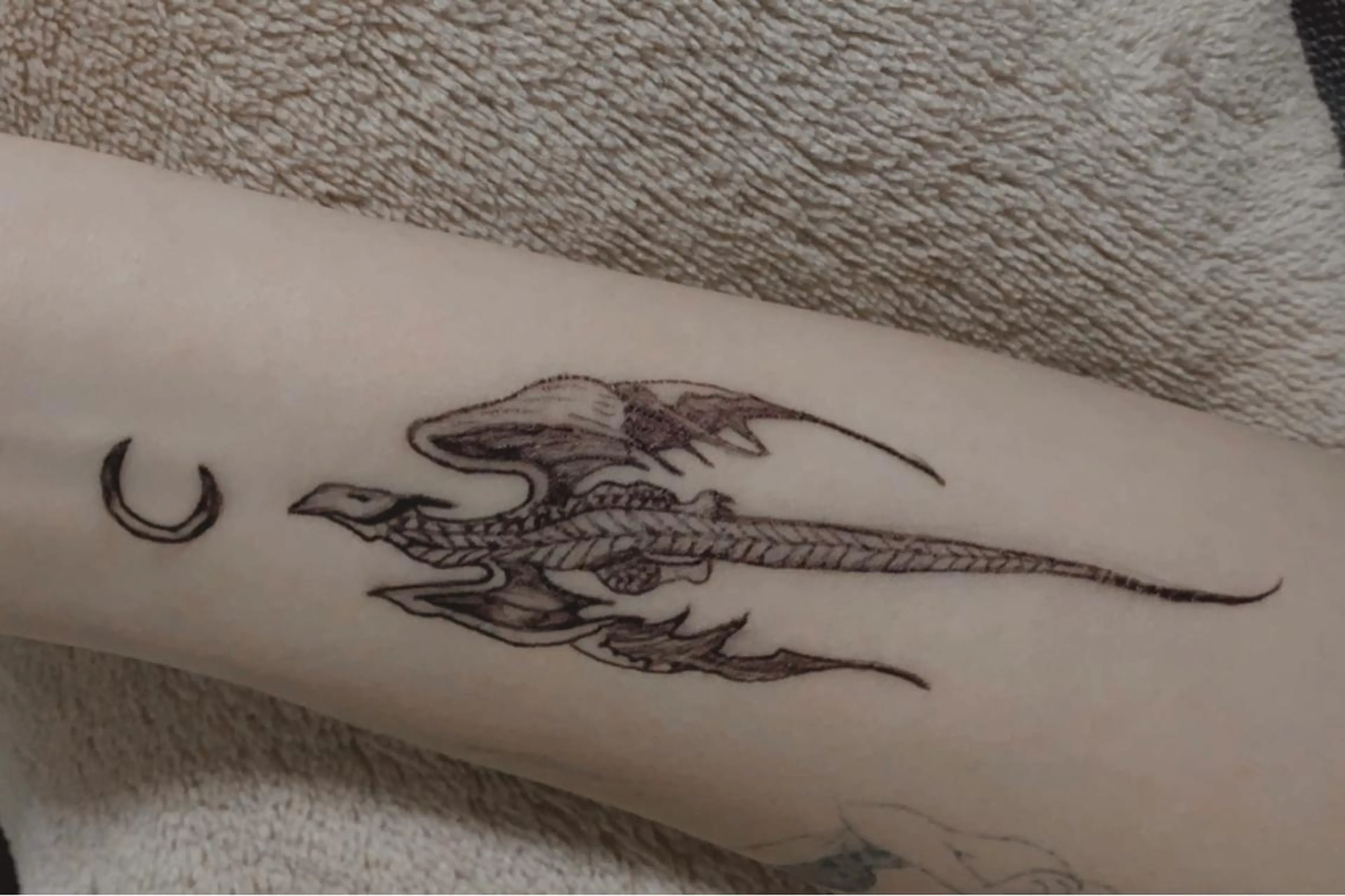 Lanhr所属・【Lanhr】 🕊aya🕊のマツエク・マツパデザイン