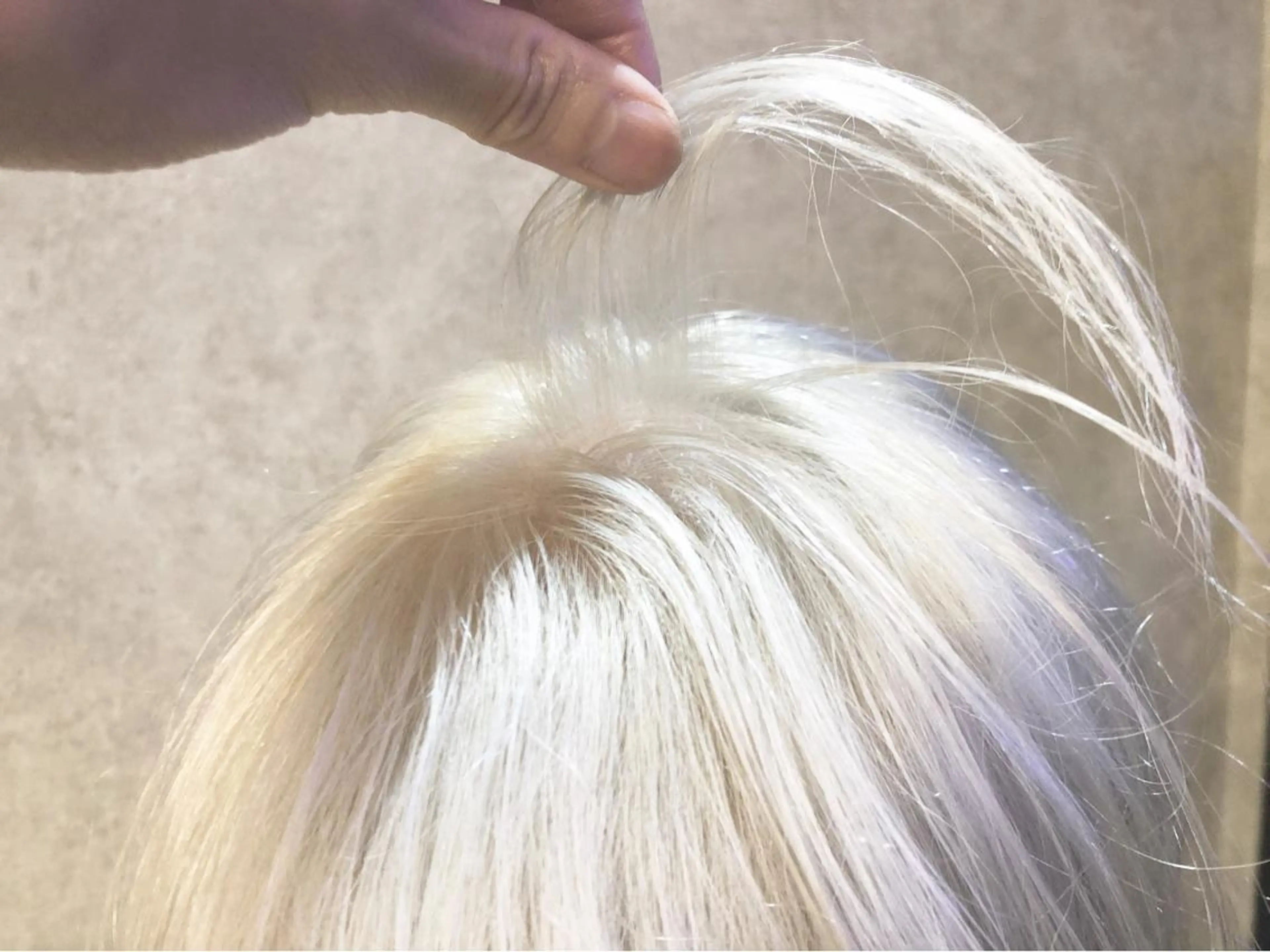 ショート カラー 顔周りレイヤー/韓国 ブリーチminamiのヘアスタイル