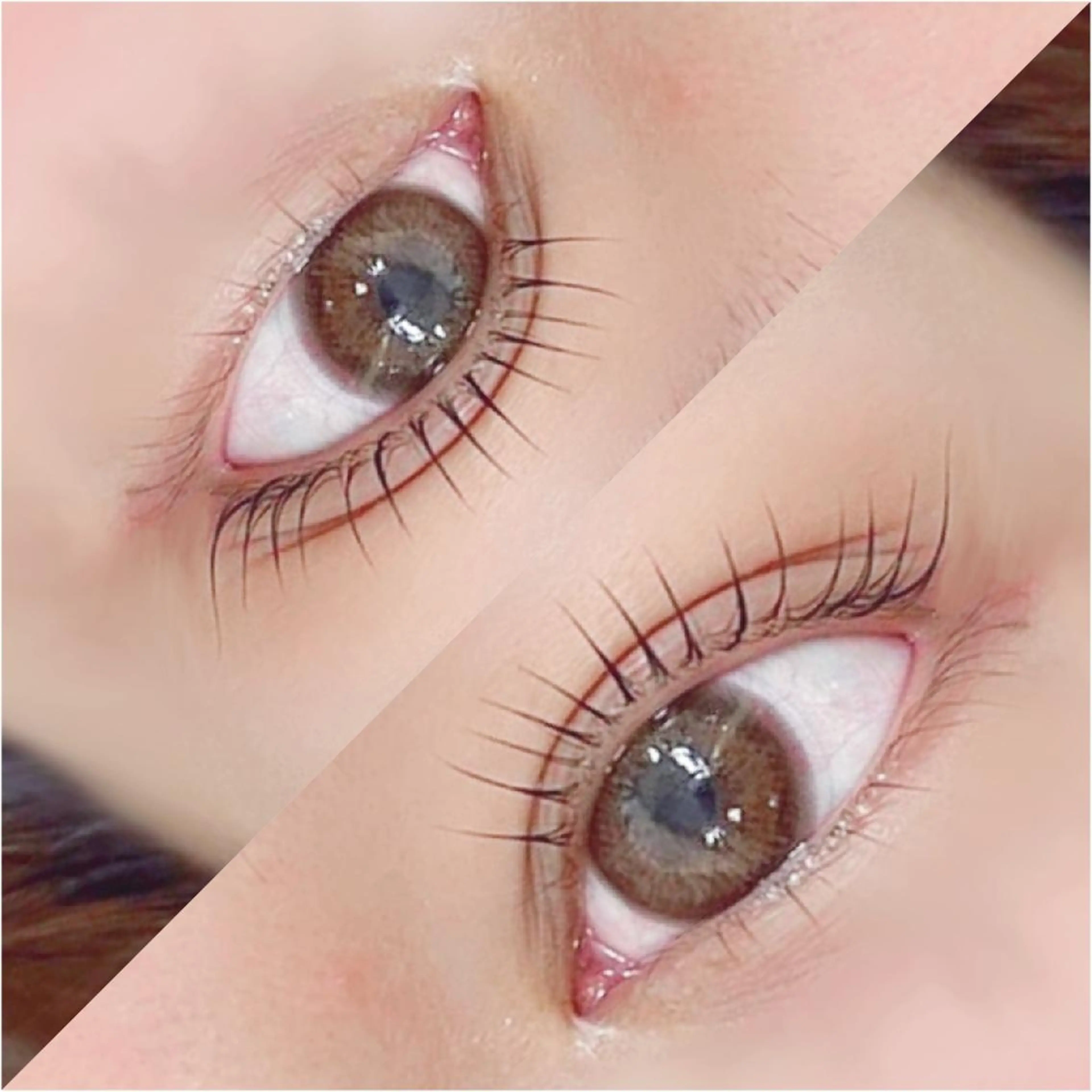 パリジエンヌラッシュリフトの写真