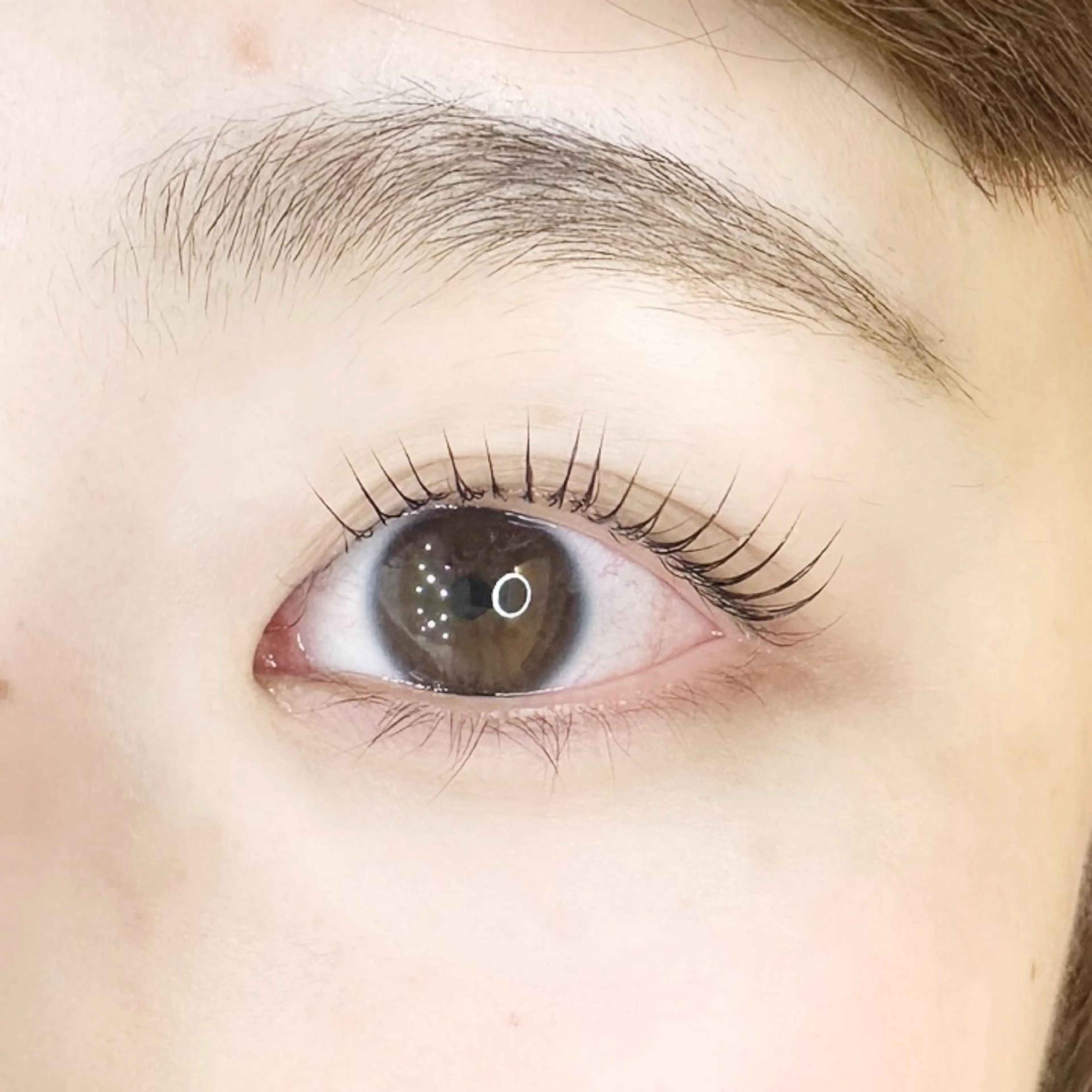 マツエク・マツパ パリジェンヌラッシュリフト トップアイリスト やつだ🐩のマツエク・マツパデザイン