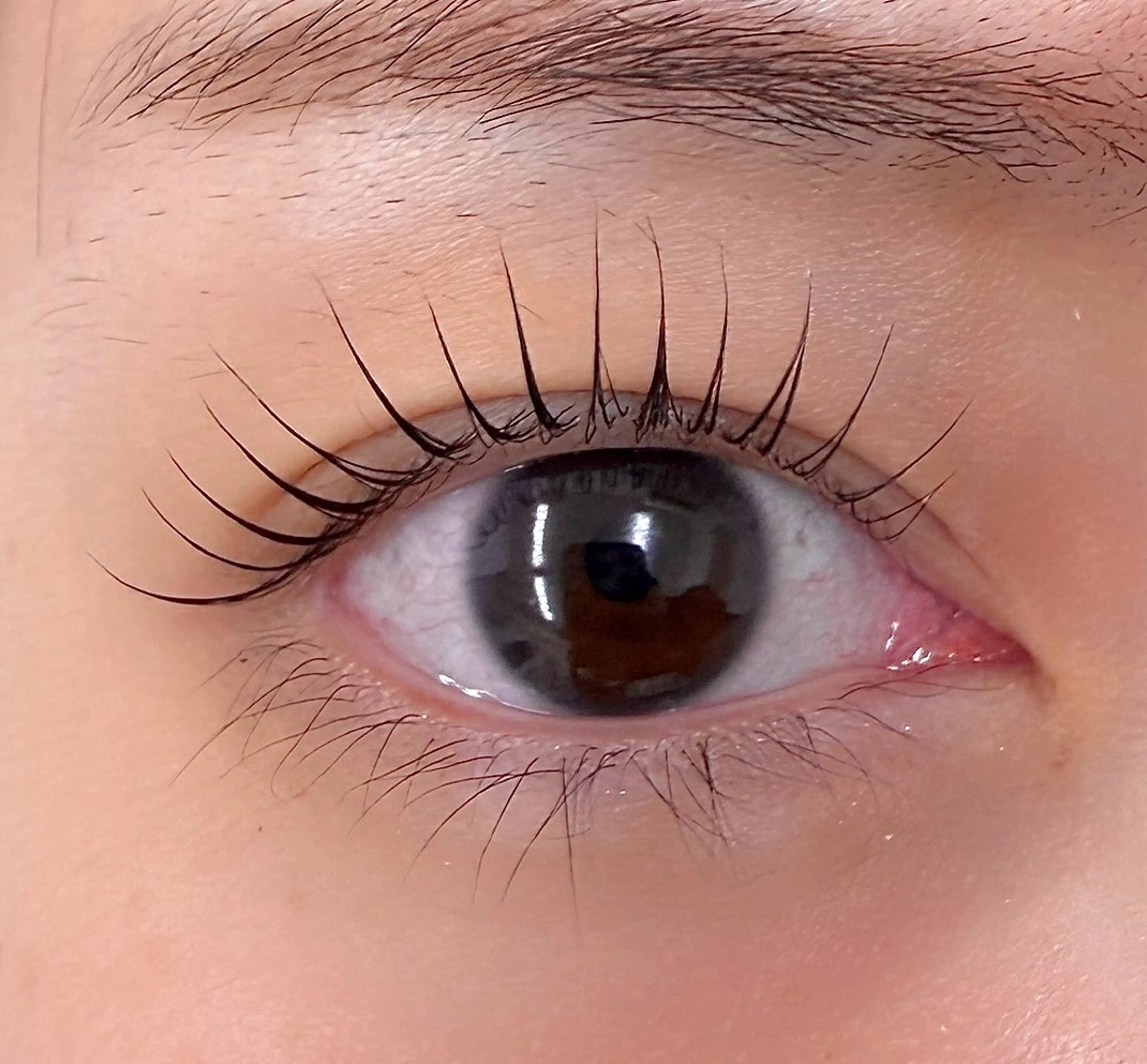 マツエク・マツパ マツパ 表参道駅徒歩2分🫧 まつげパーマ/Emiのマツエク・マツパデザイン