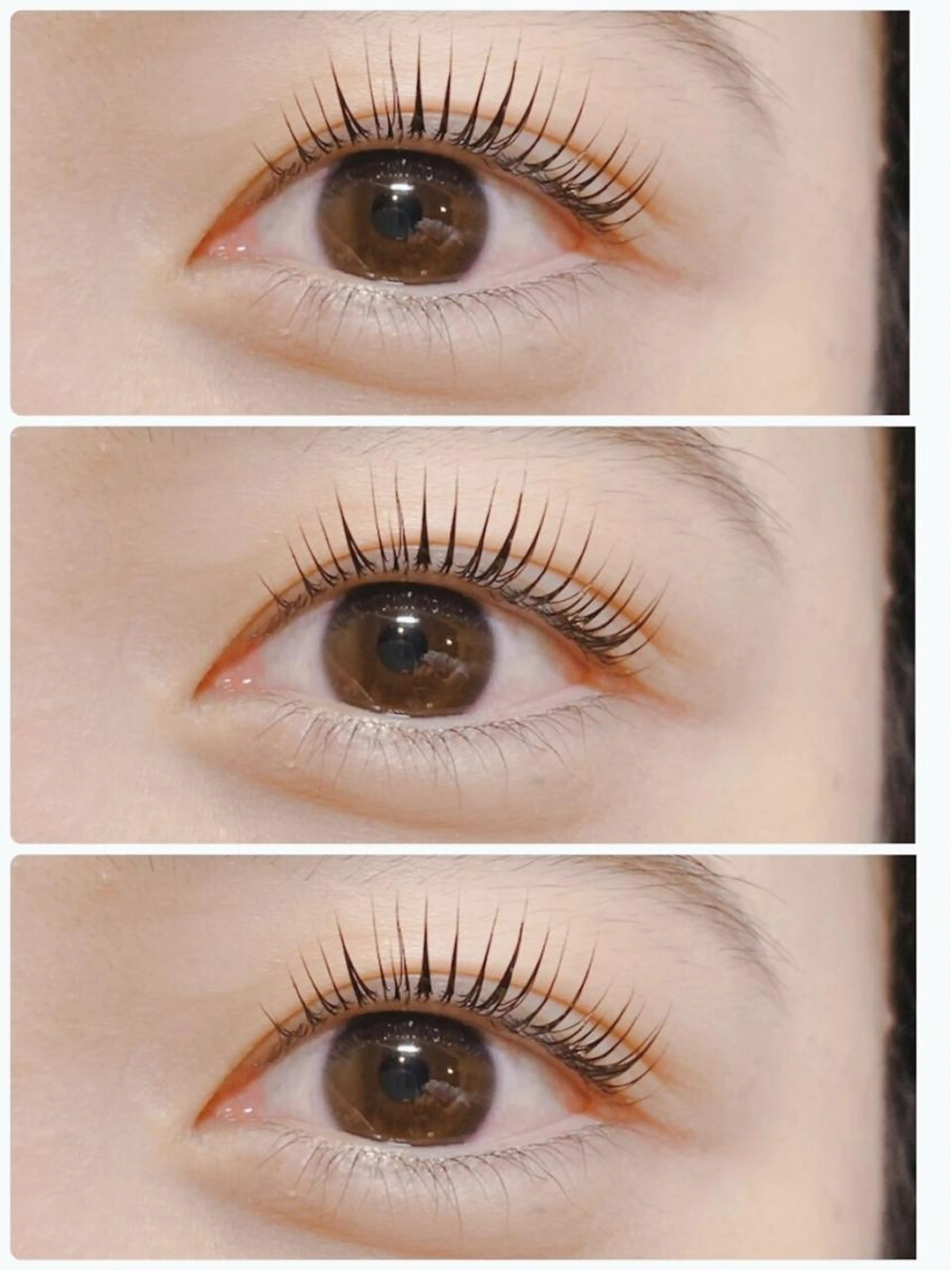 選べるパーマ💜パリジェンヌorラッシュリフト💜ケラチントリートメント付き🕊️（オフなし限定）の写真