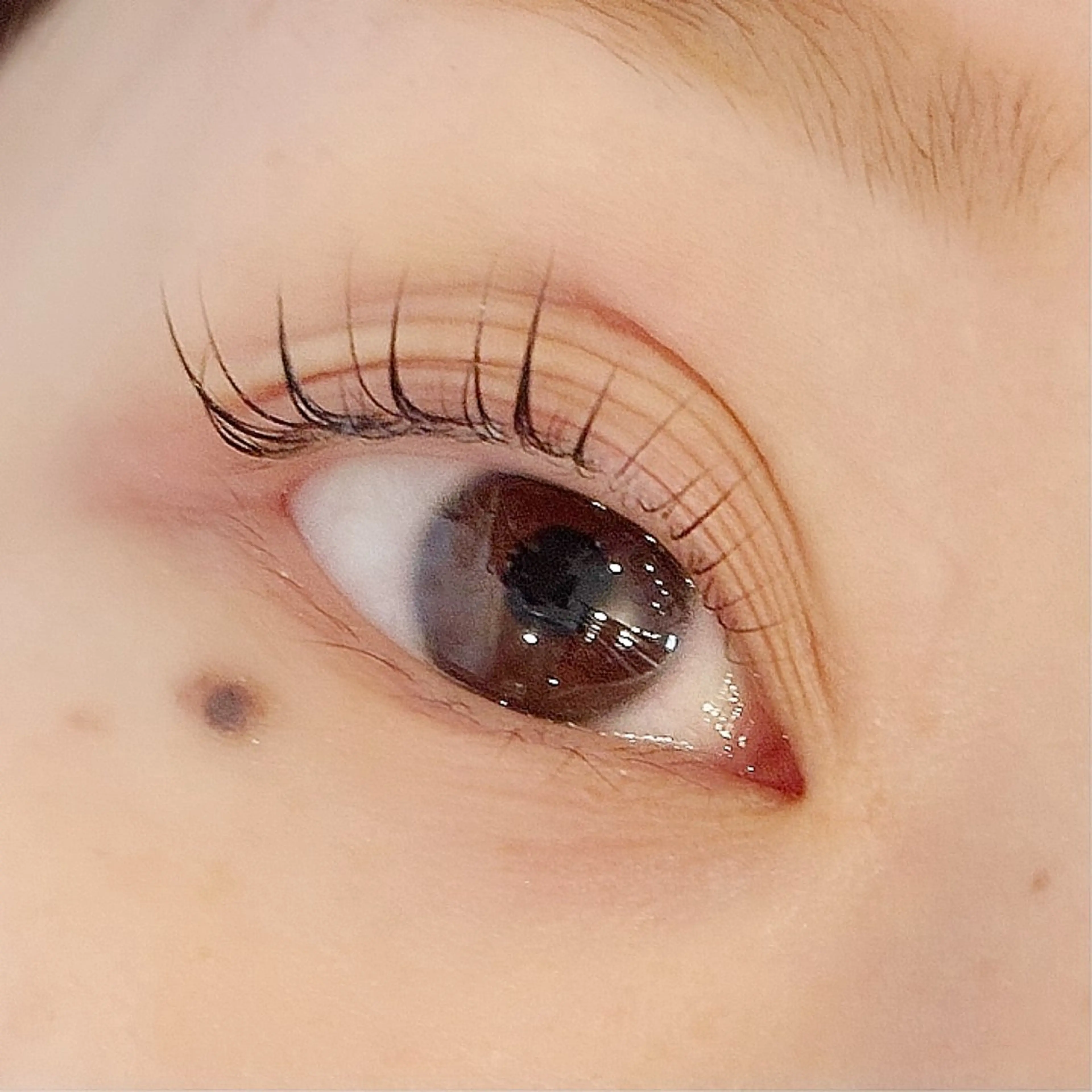 まつ毛パーマの写真