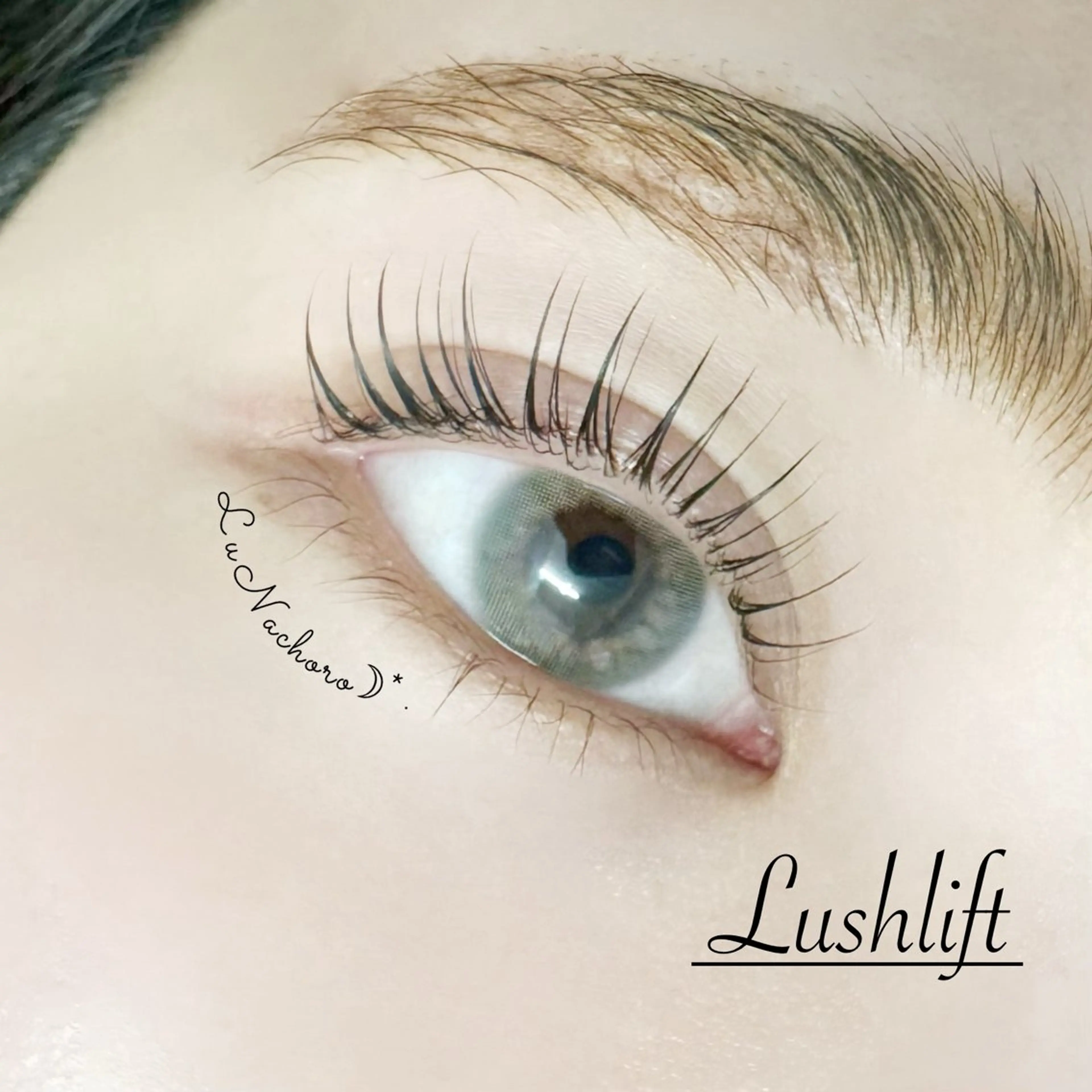 マツエク・マツパ Jessica荻窪 🌙山下のマツエク・マツパデザイン