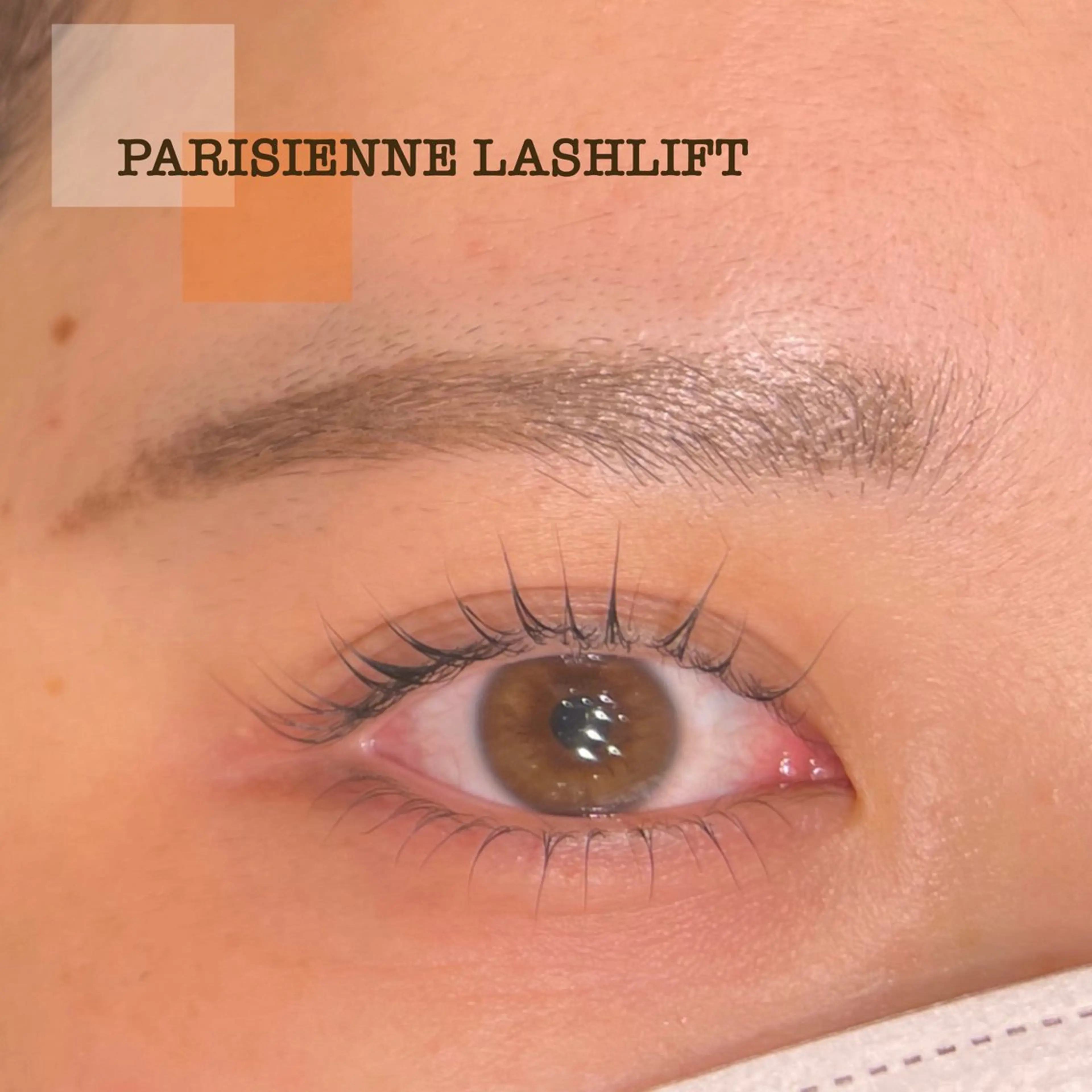 人気No.1🌈パリジェンヌラッシュリフト上下orまつ毛パーマ上下🌈【お仕上げコーティング込み】の写真