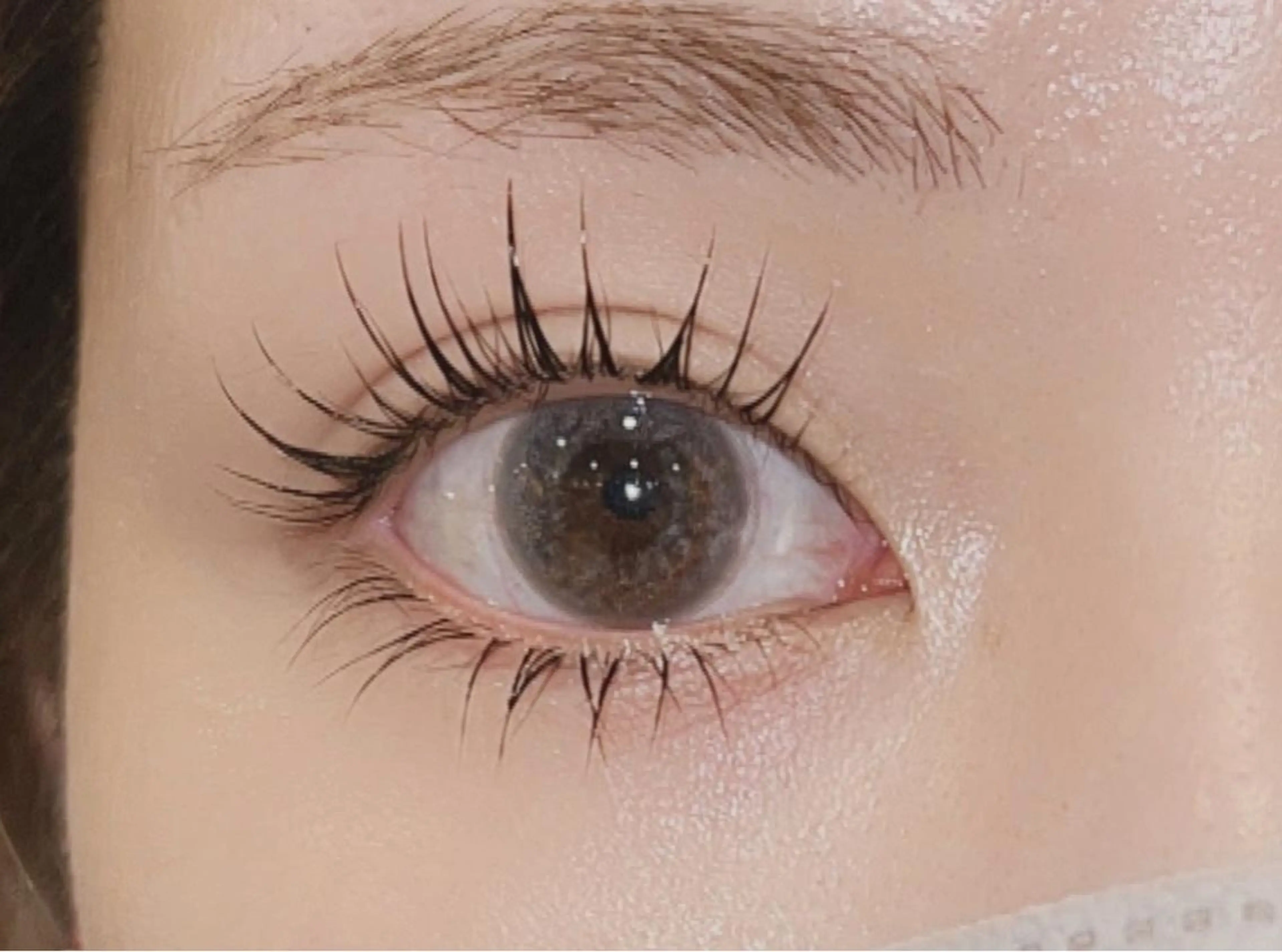 パリジェンヌラッシュリフト💫アイシャンプー付✨ケラチントリートメント+¥550🌙まつ毛カールに変更OK💫メーテル有の写真