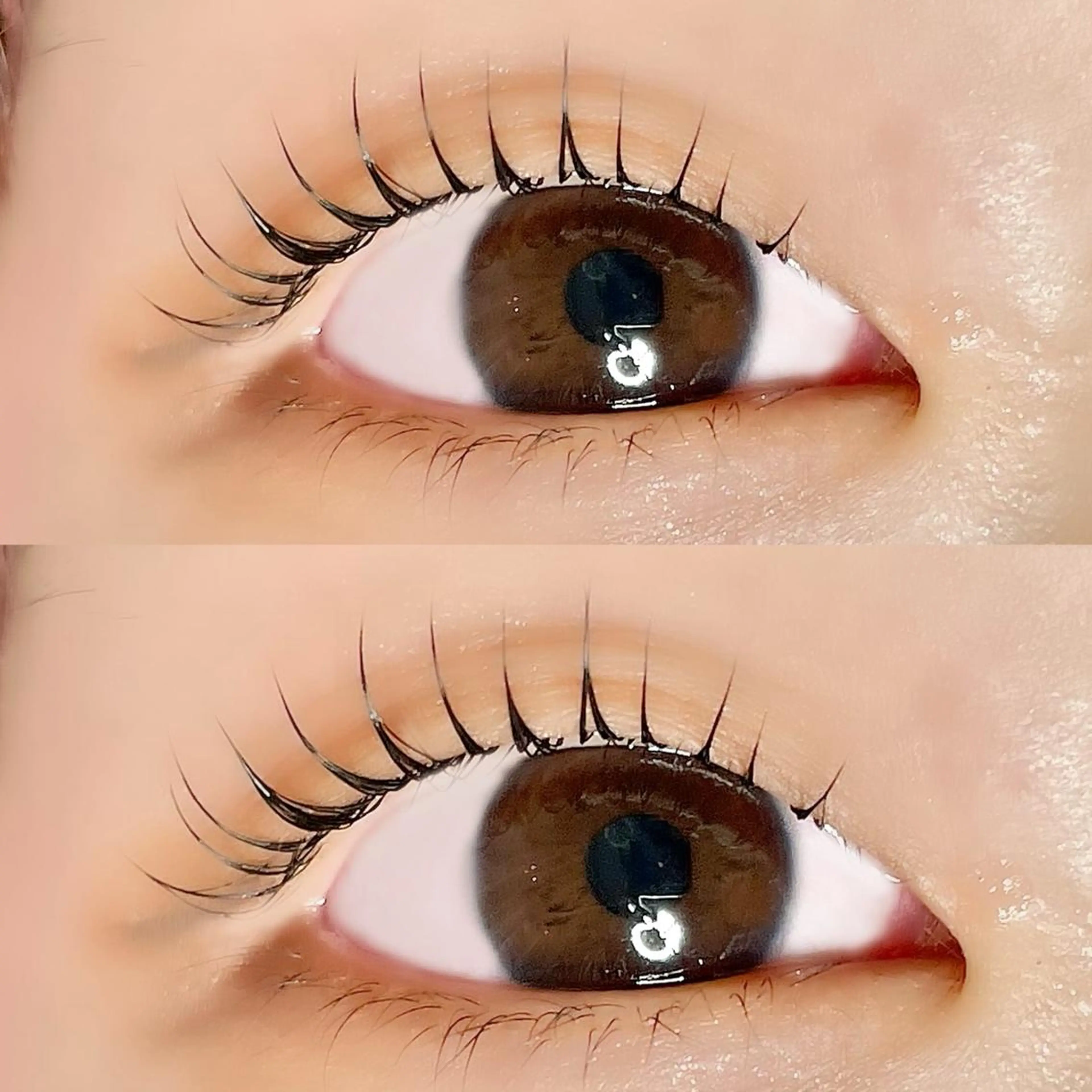 マツエク・マツパ AYLASH🧡 猪又のマツエク・マツパデザイン