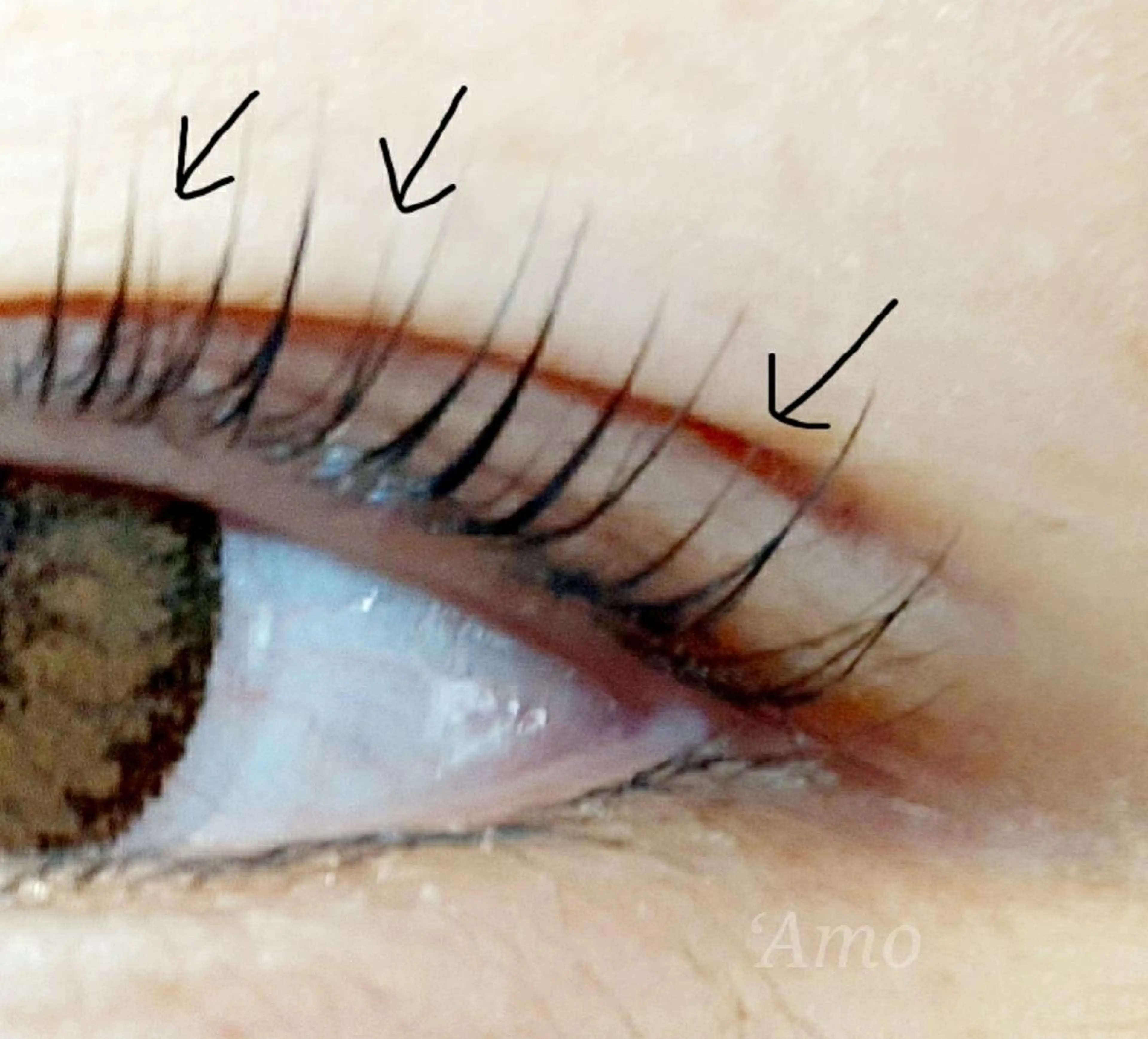 マツエク・マツパ まつげパーマ ‘Amo アモのマツエク・マツパデザイン