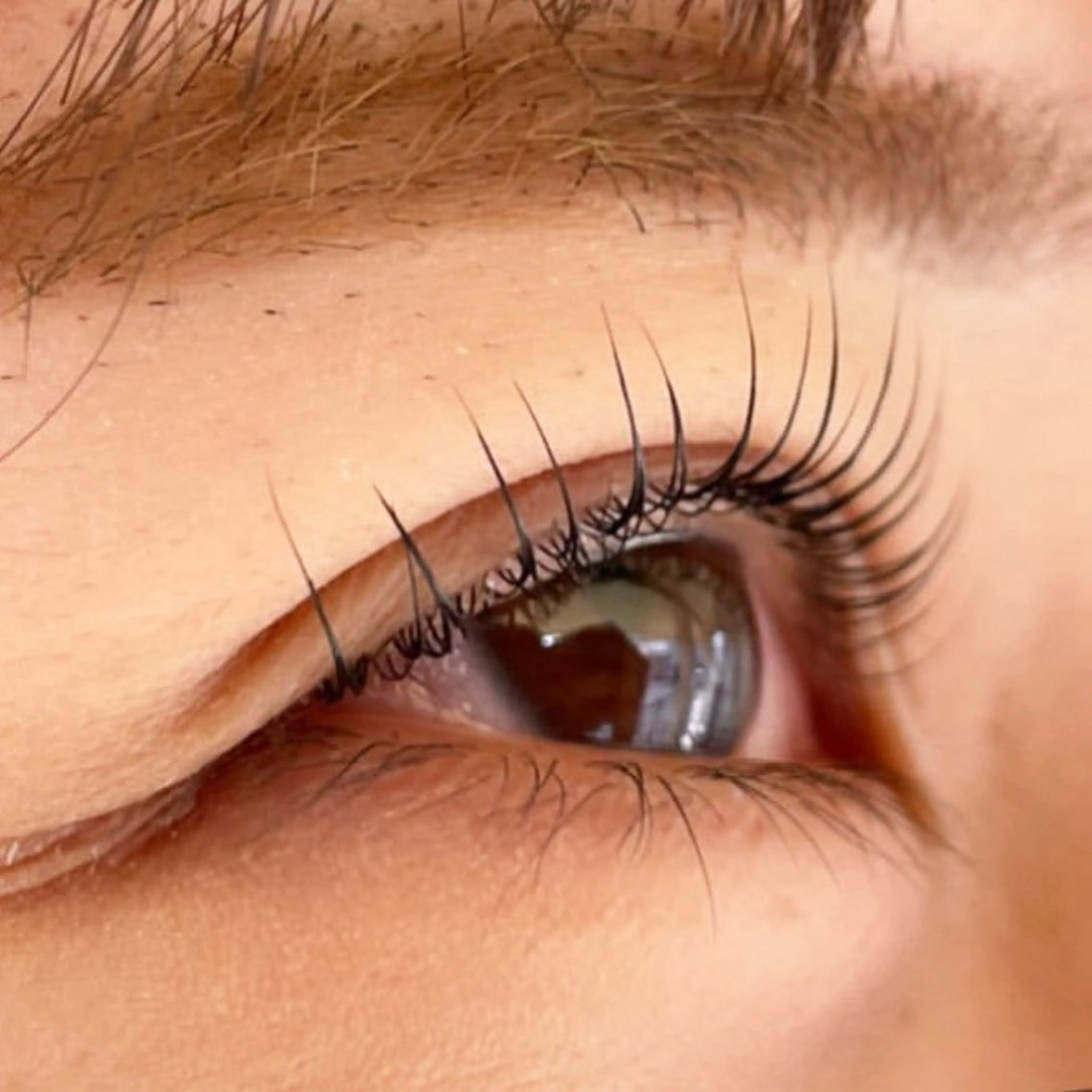 【新規限定】🦋ラッシュリフト🦋(パリジェンヌ/メーテル等人気ロッド取り扱いあり!)アイシャンプー&コーティング付き♡の写真