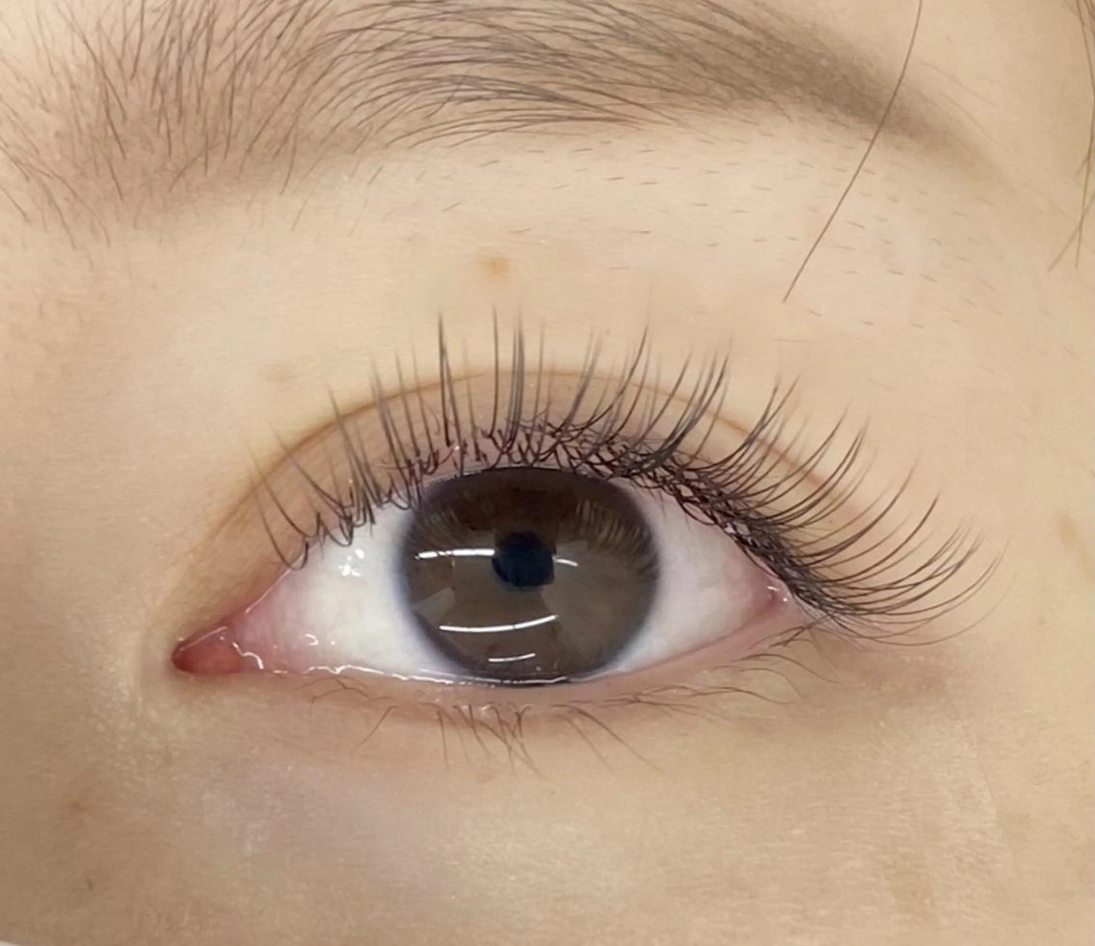 LEDエクステ フラットラッシュ120本👀の写真