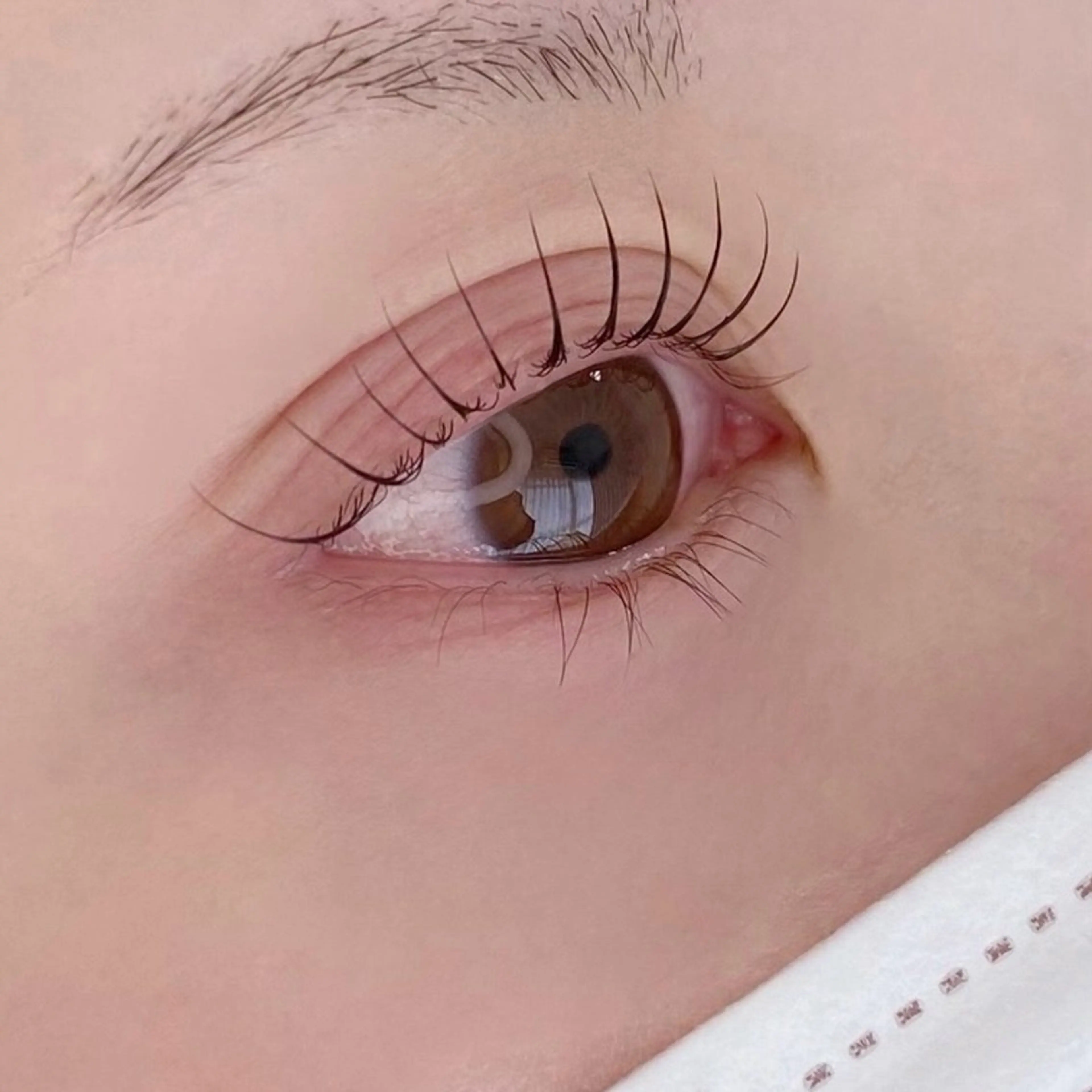 マツエク・マツパ マツパ Nancy所属・束感まつげ❤︎ あみのマツエク・マツパデザイン