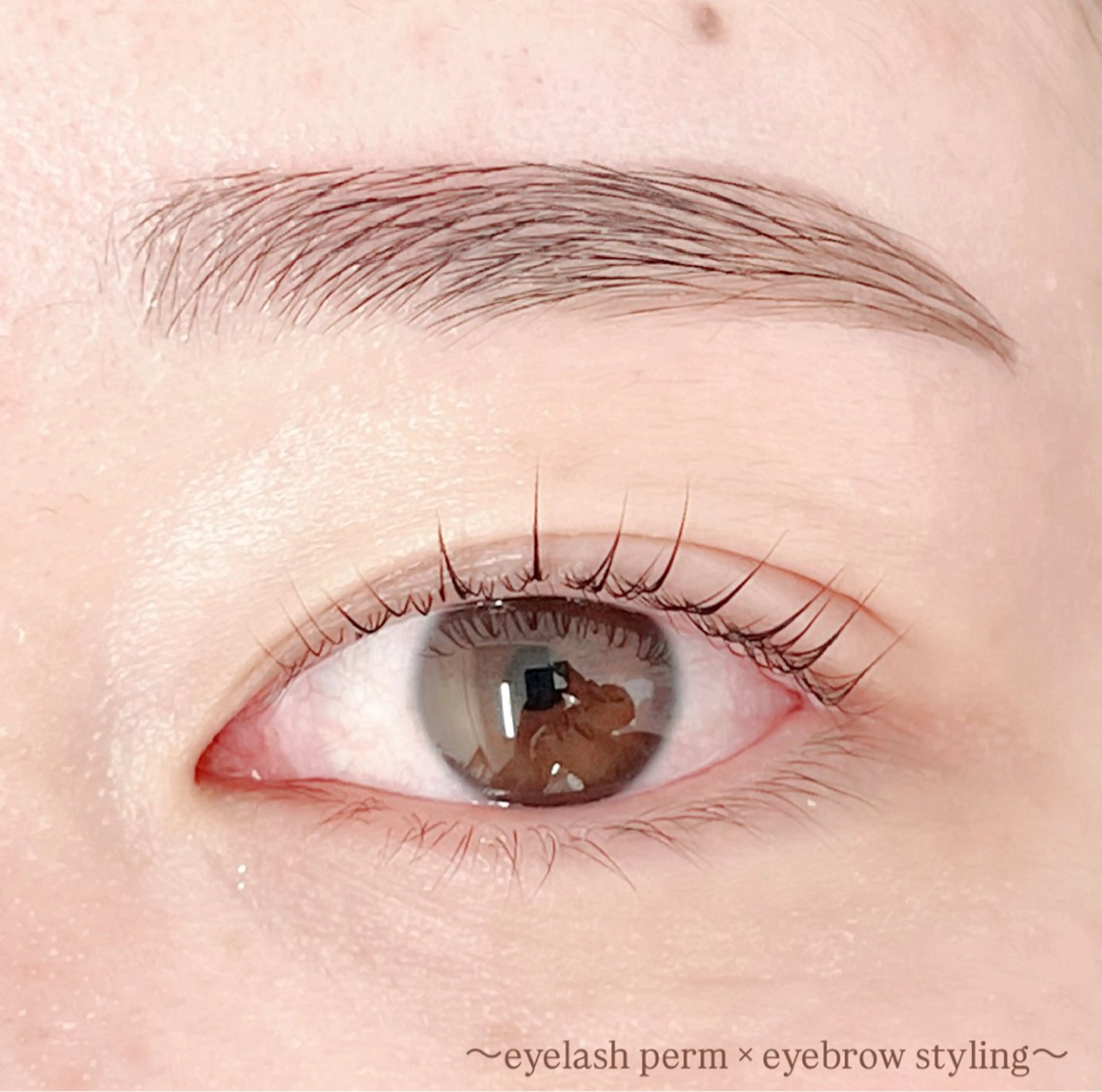 アイブロウ ワックス脱毛 眉カット その他(アイブロウ) 田村 莉子のマツエク・マツパデザイン