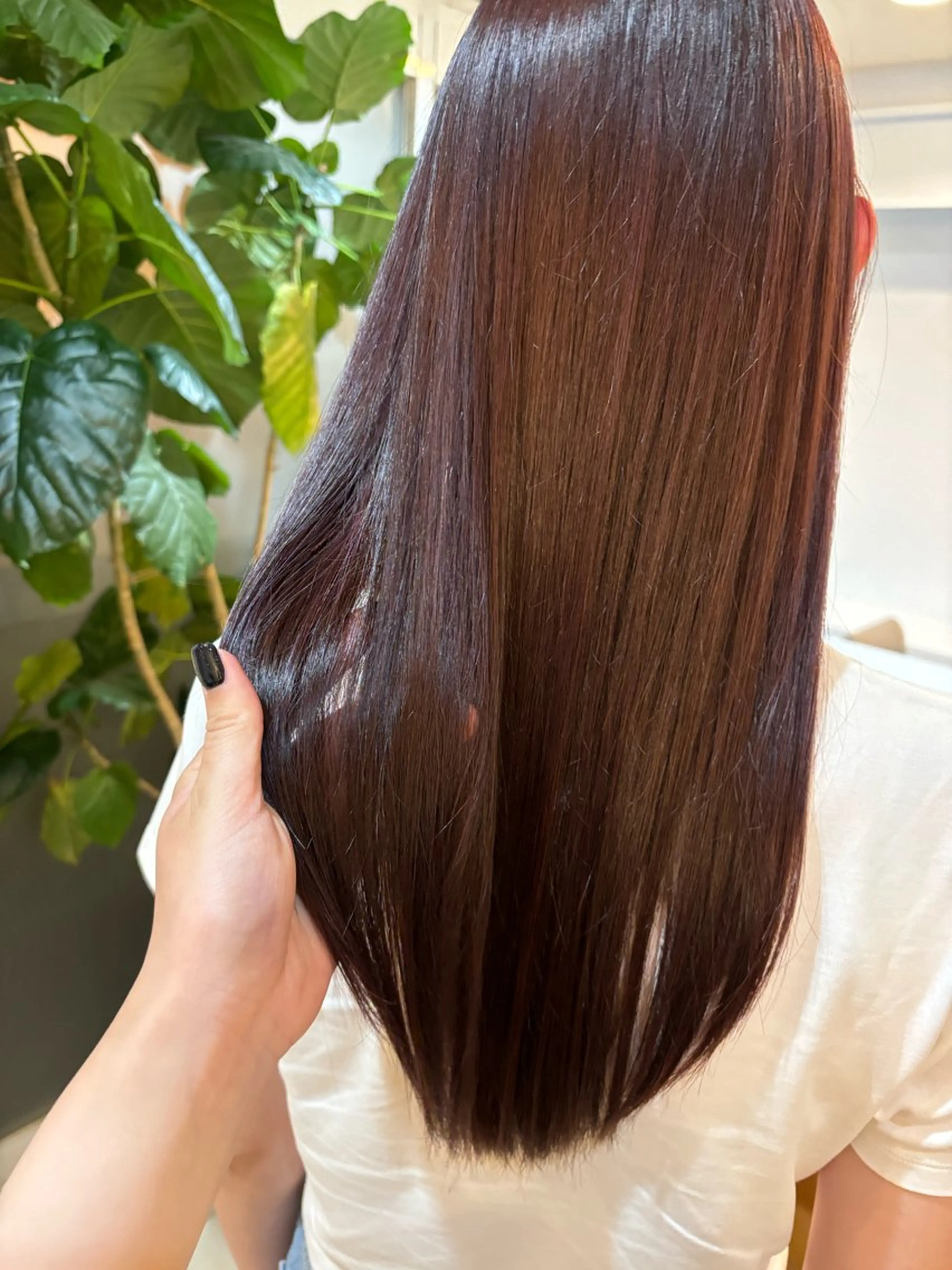 ⭐️ワンカラー⭐️の写真