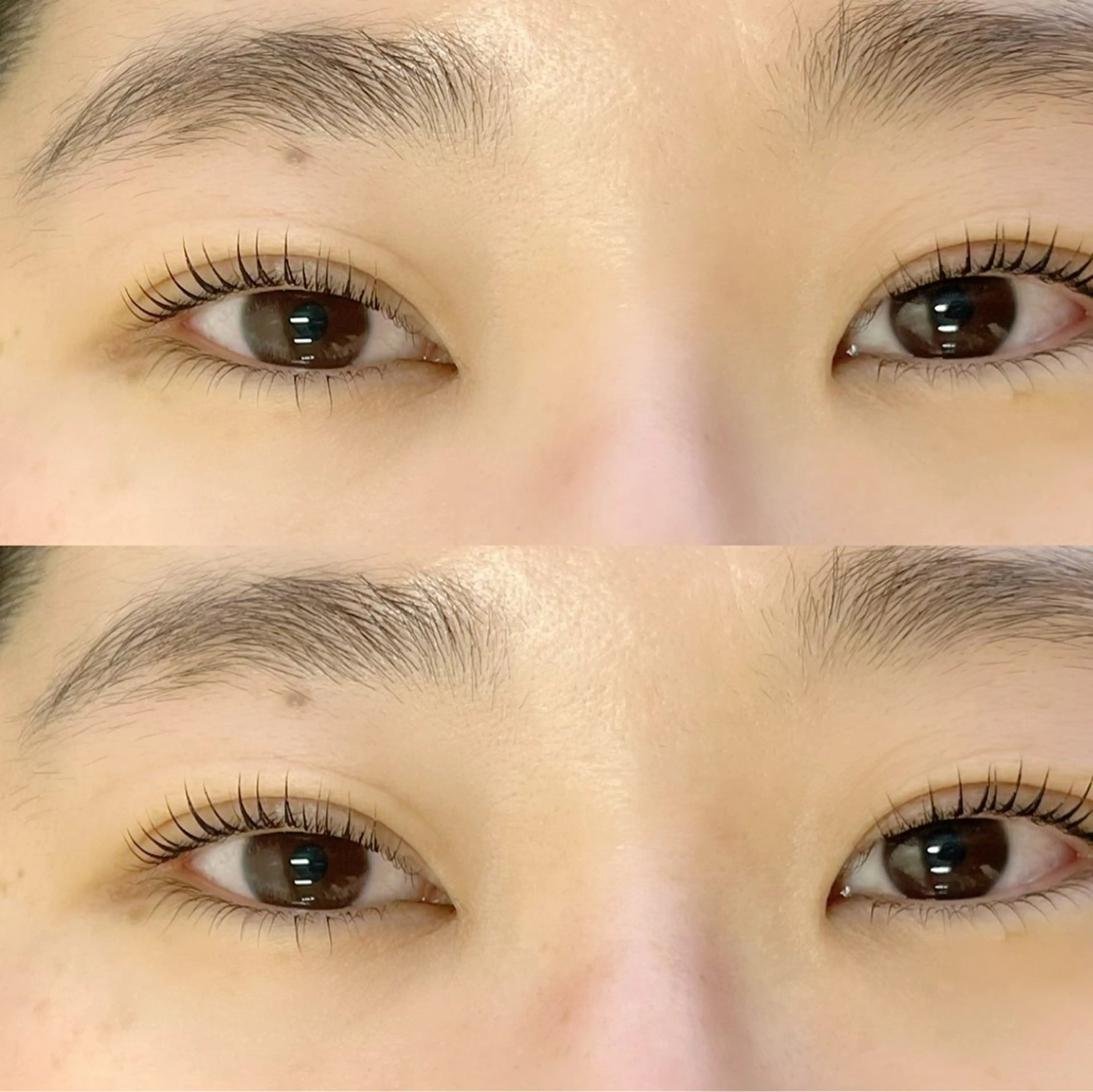 マツエク・マツパ マツパ Y.eyelash 赤羽/志茂のマツエク・マツパデザイン