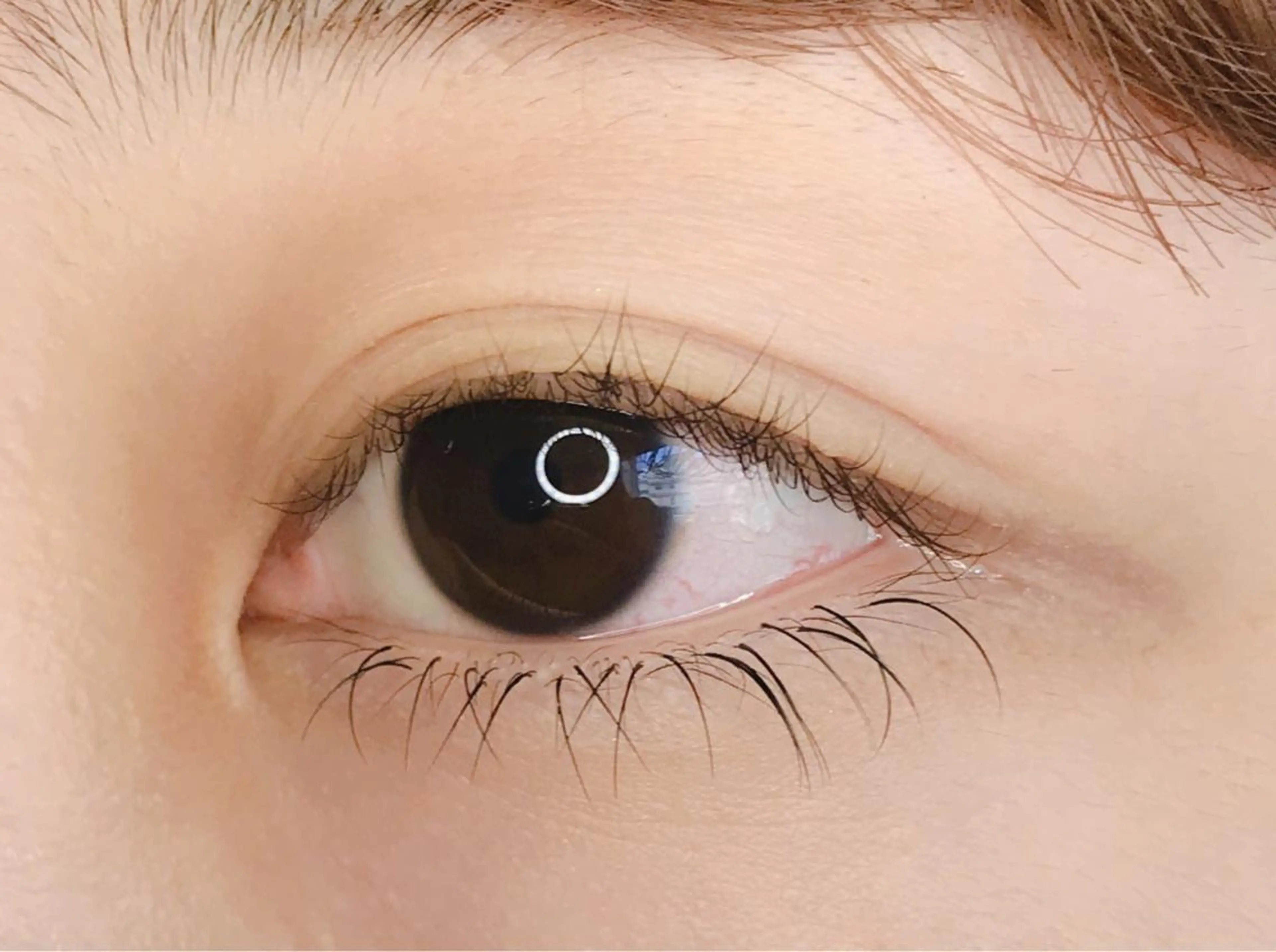 マツエク・マツパ 《eyelash ｉｉｔｅ》森のマツエク・マツパデザイン