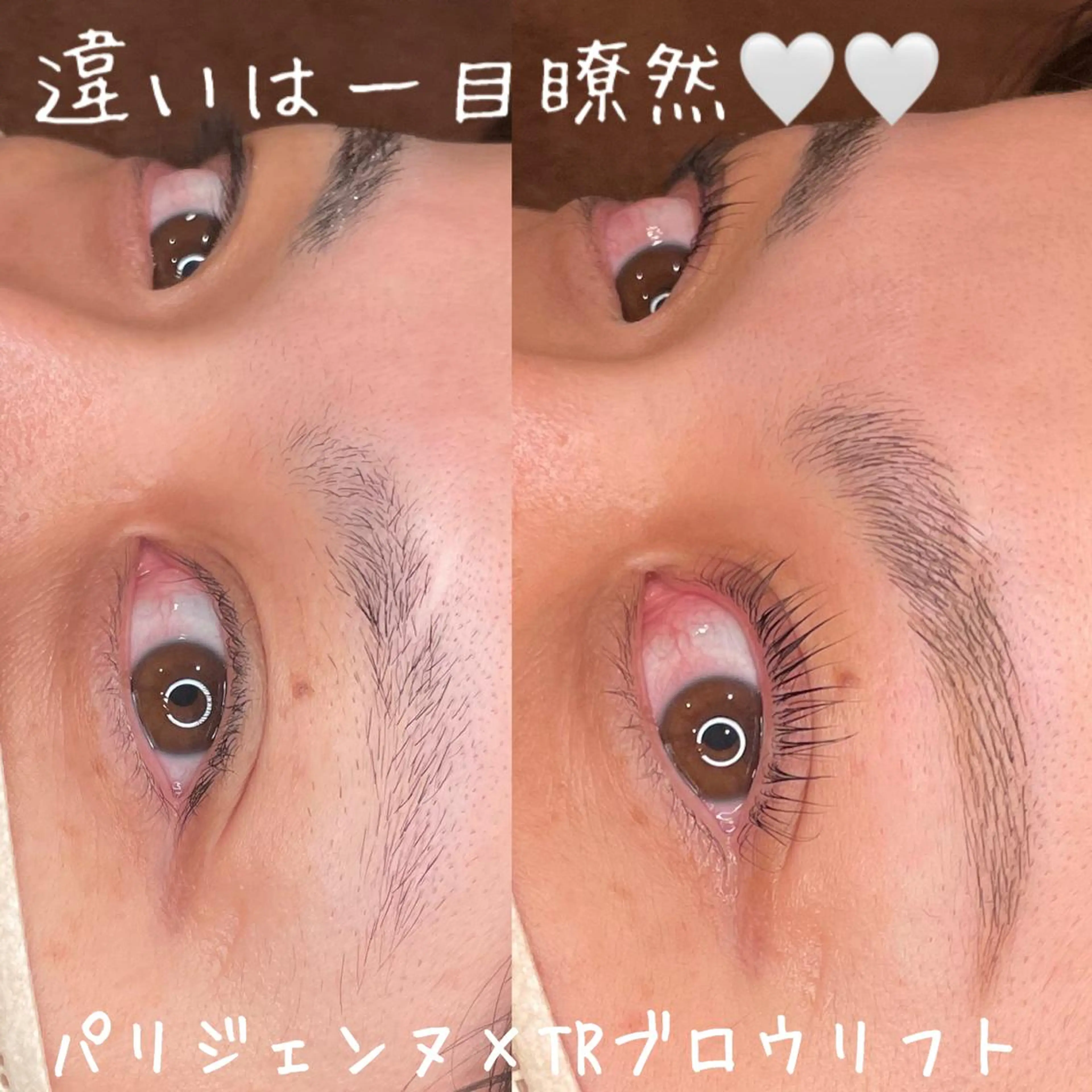 マツエク・マツパ パリジェンヌラッシュリフト 山城 エスタの眉毛・アイブロウイメージ